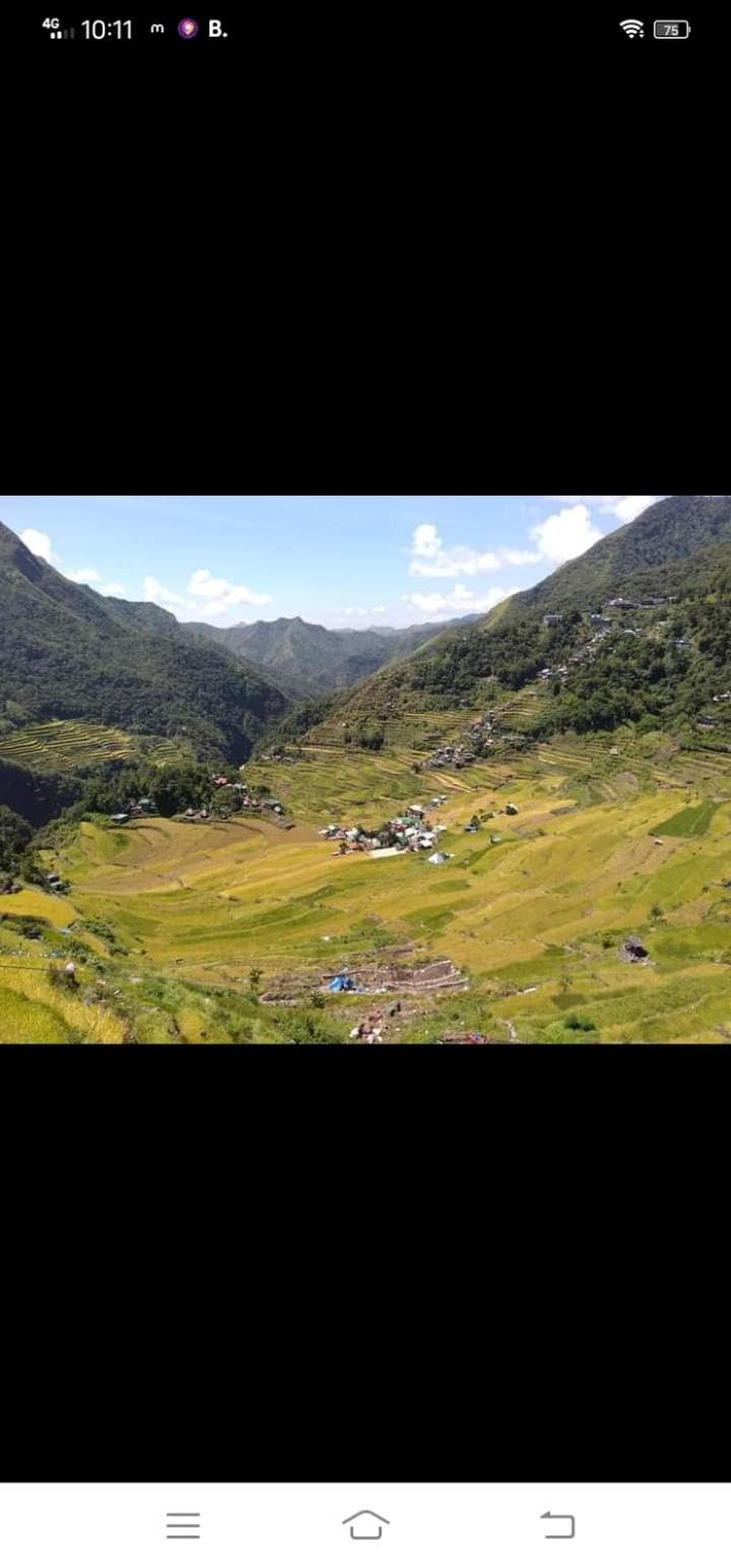 Batad Village Homestay & Restaurant photo 8
