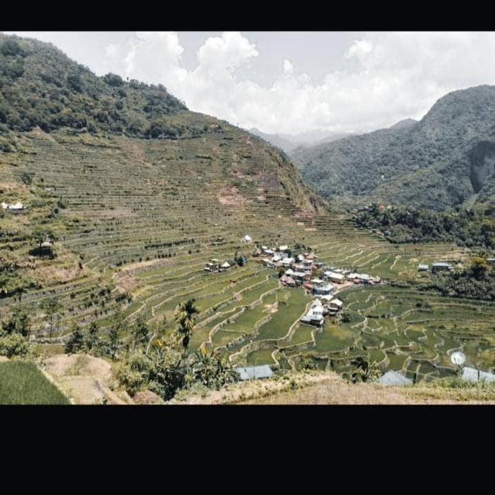 Batad Village Homestay & Restaurant photo 3