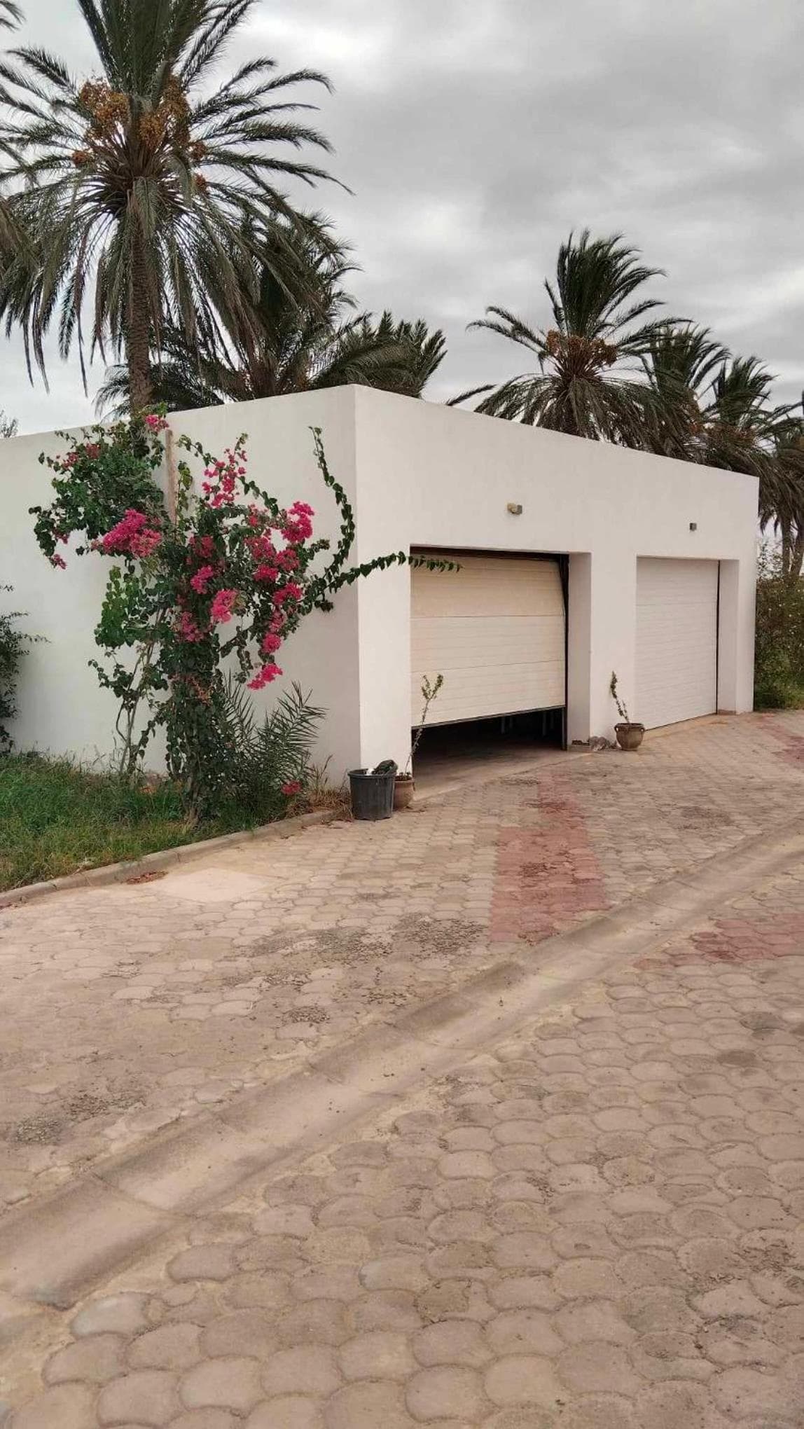Dar Jamila - Au coeur de l'Oasis - photo 6