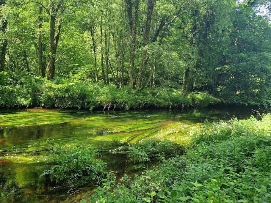 Home in County Wicklow Unique Escape photo 6