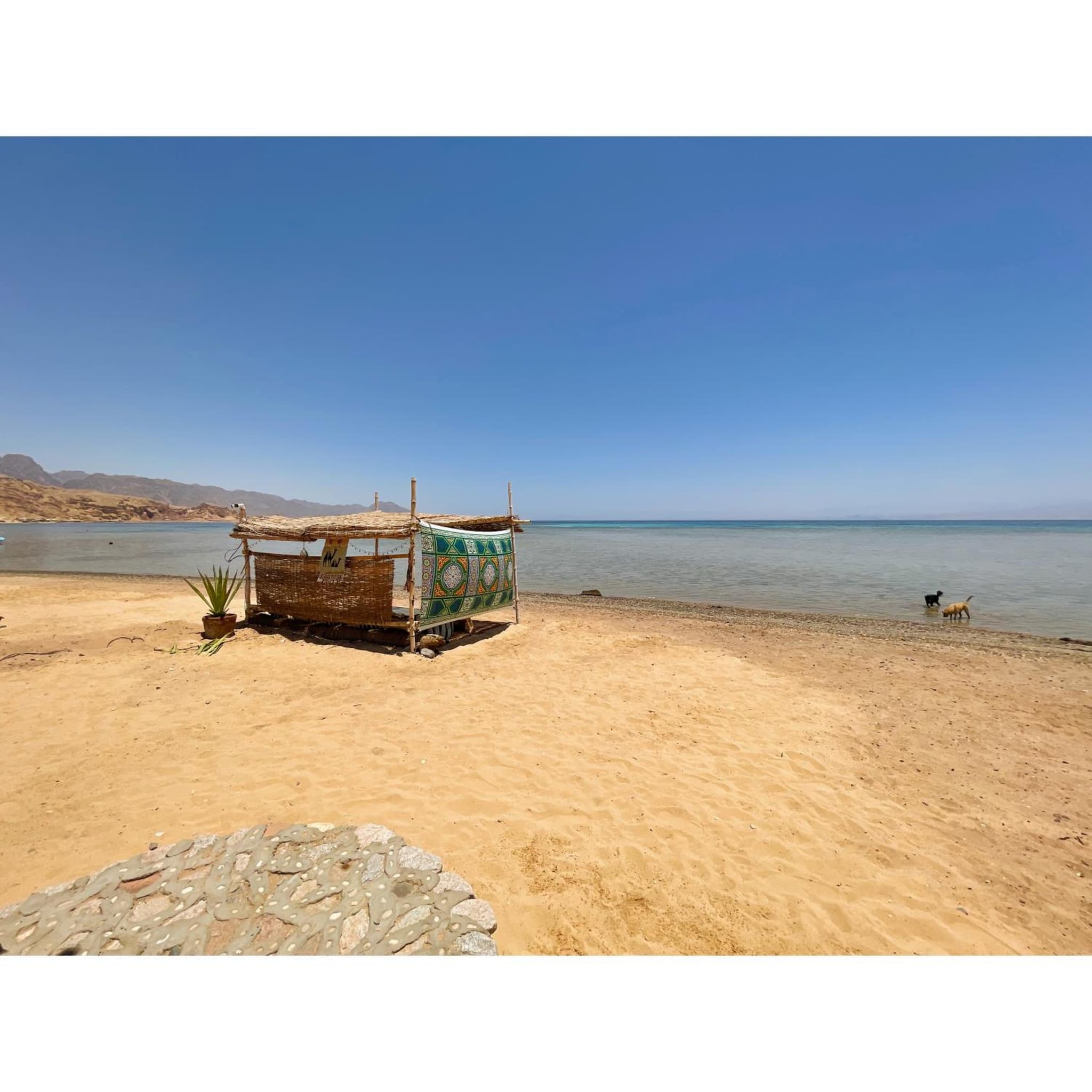 Live the bedouinlife photo 9