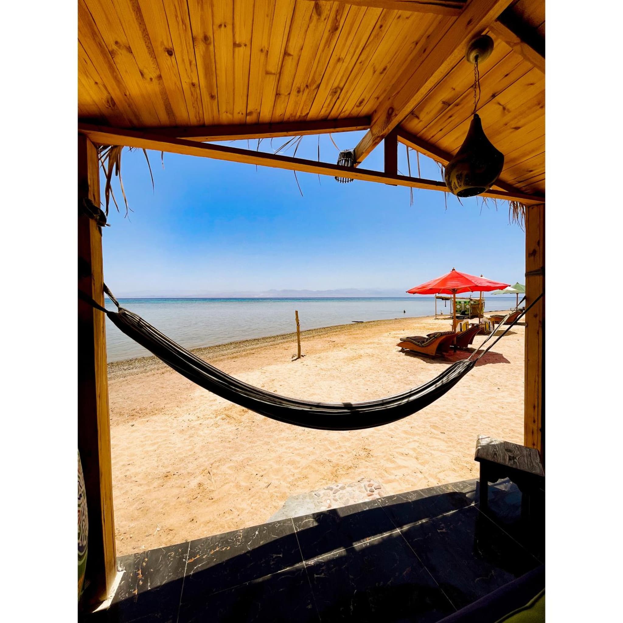Live the bedouinlife photo 3