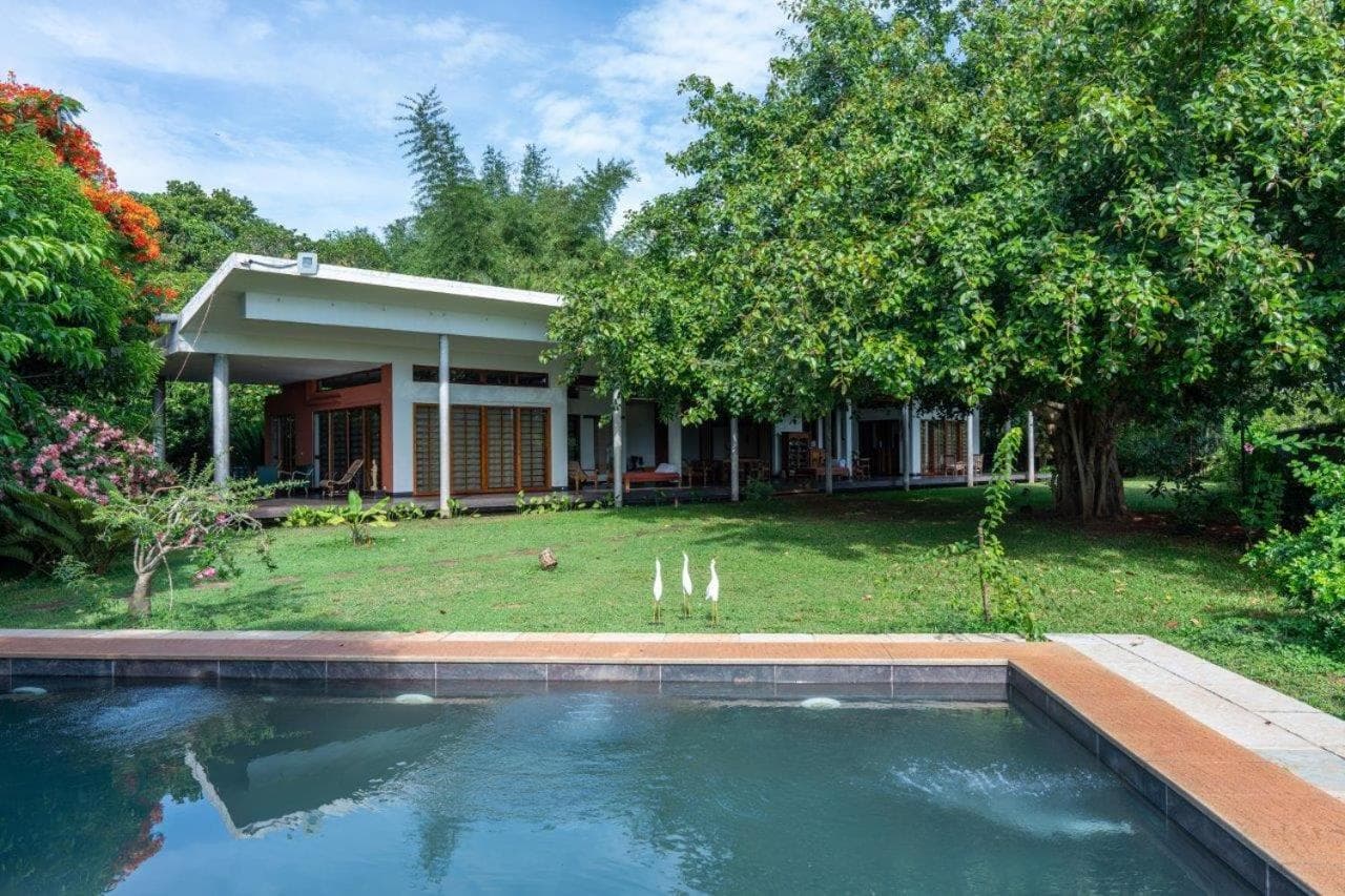 Mango Hill Auroville Pondicherry photo 2