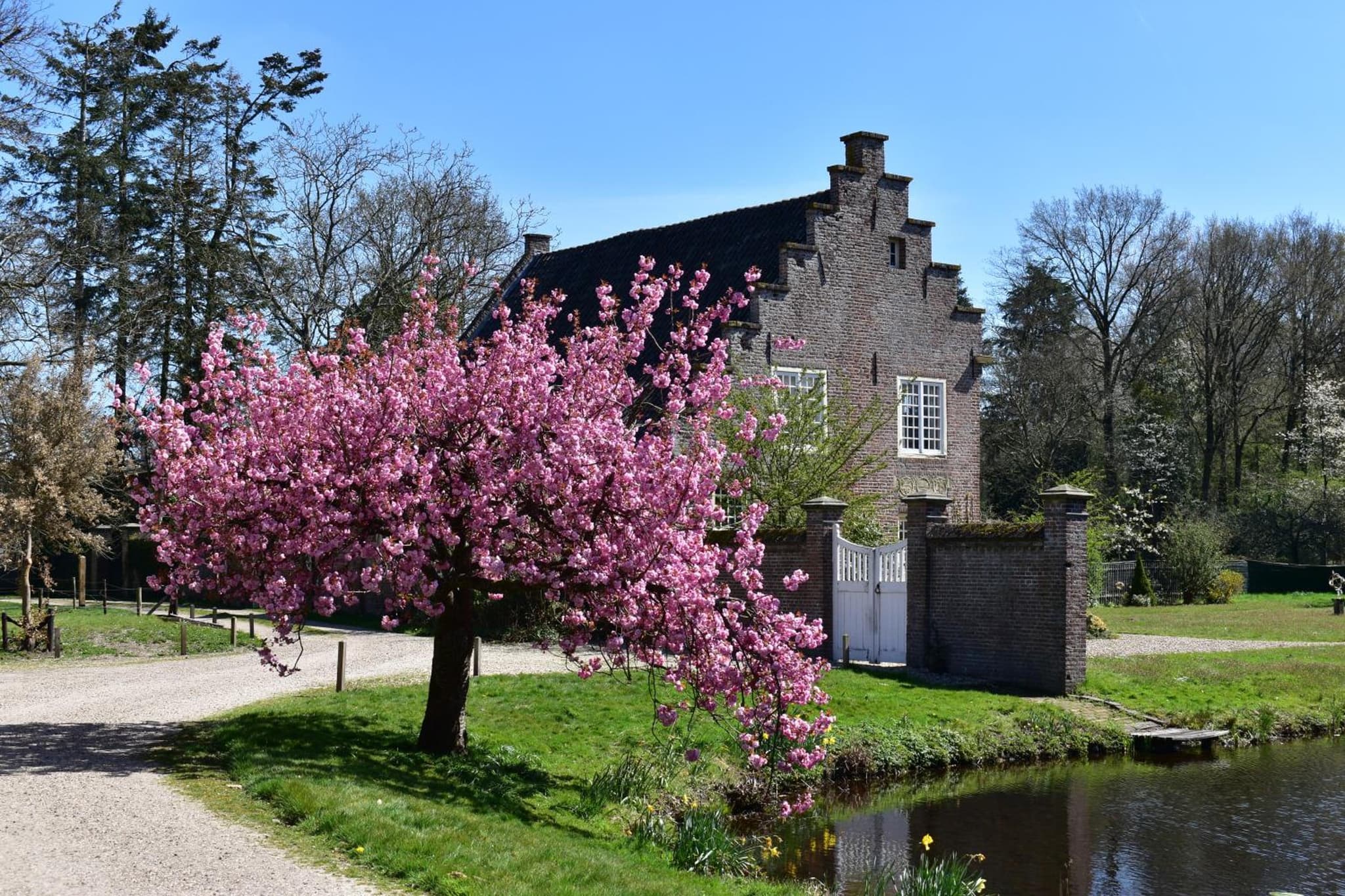 De Orangerie photo 7