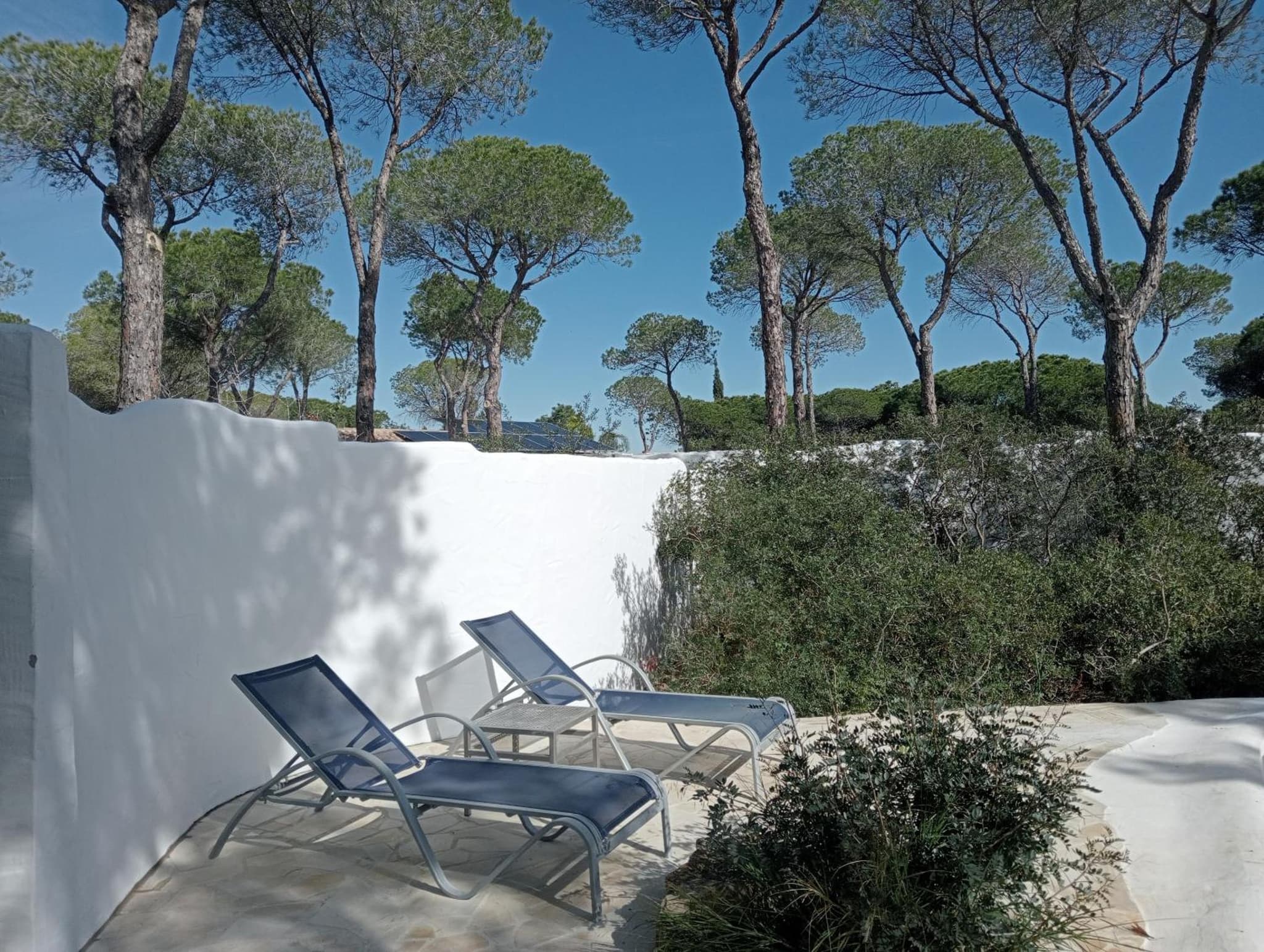 Casa Palmito 2 photo 2