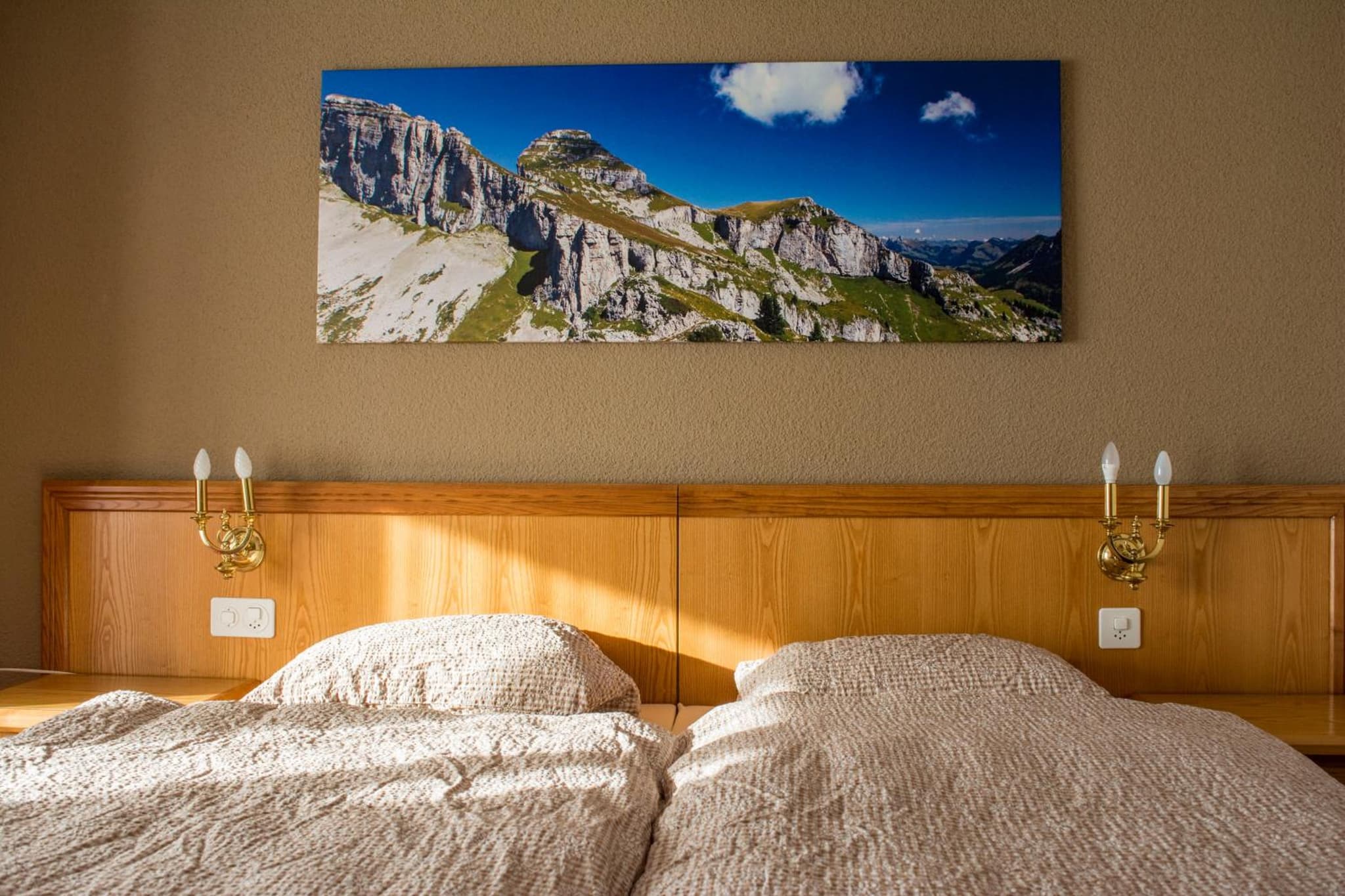 Alpine Classic Hotel photo 6