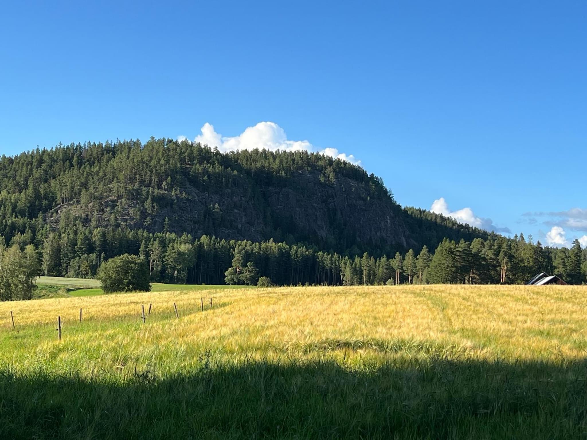 Loftet på Soliga Klacken photo 8