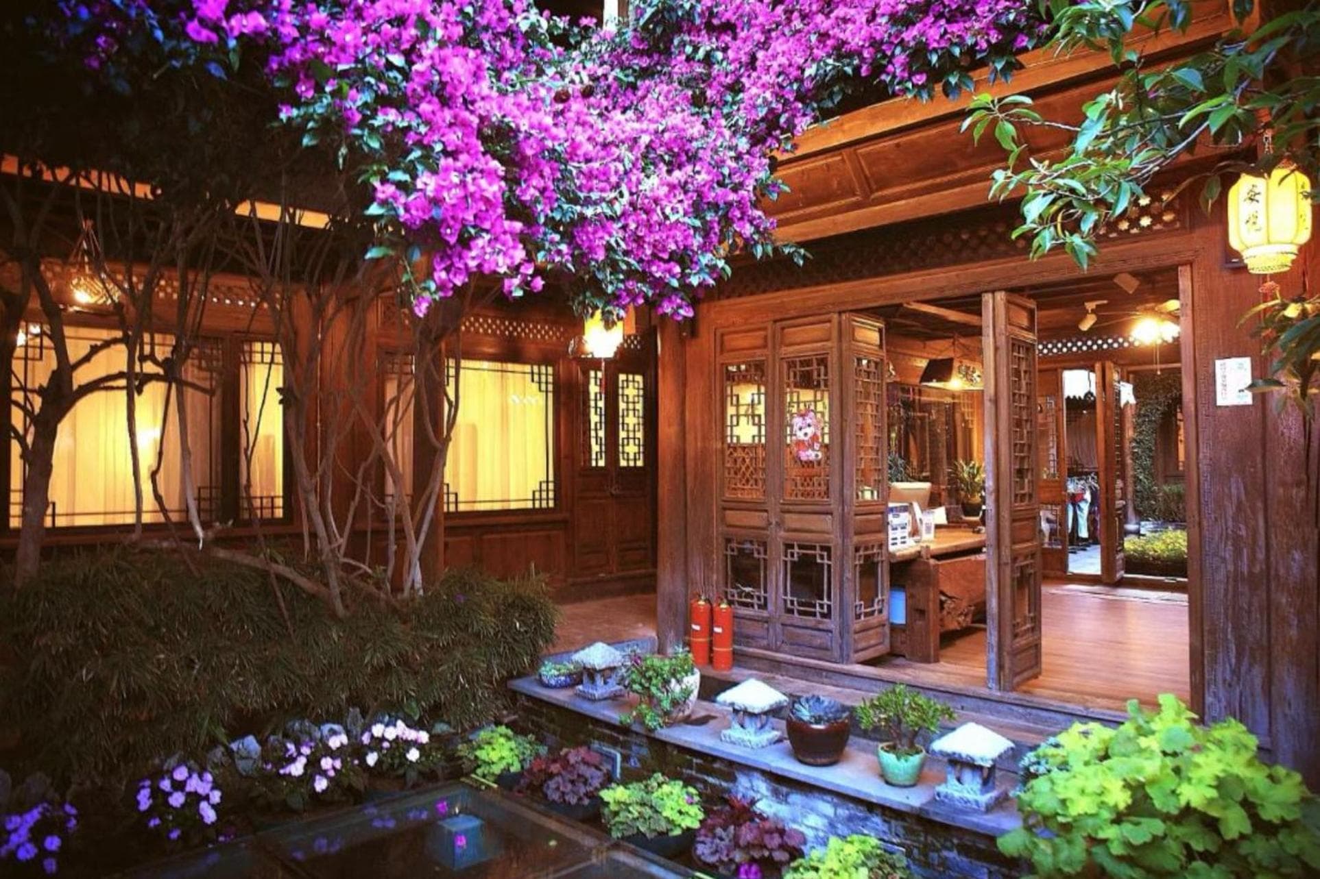 佬树客栈 Big Tree Guesthouse - Free Laundry & Coffee