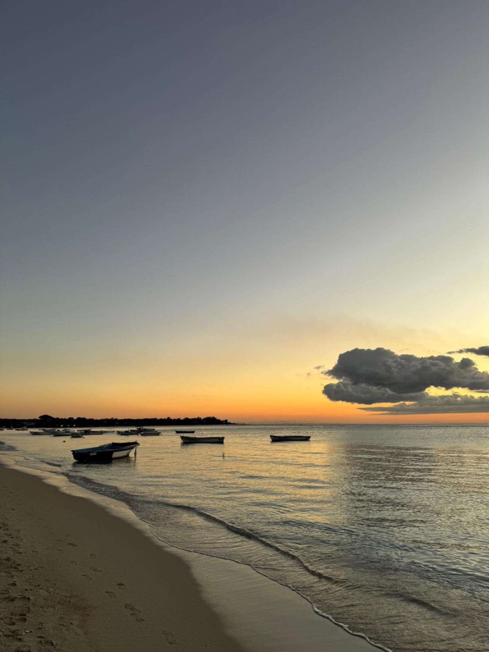 Wild Pearl, Albion Mauritius photo 2