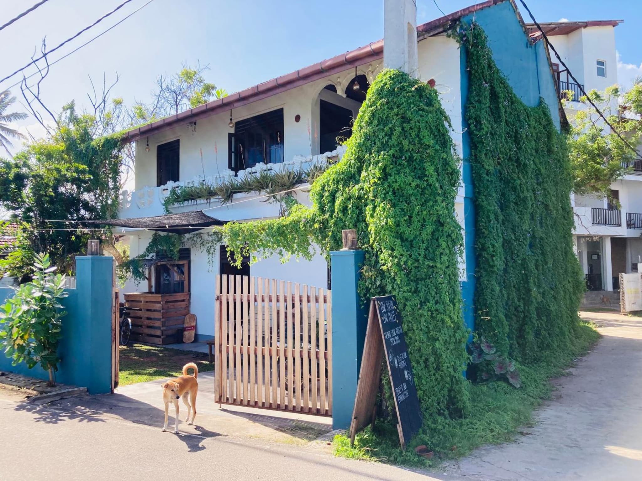 Just Another Guesthouse photo 3
