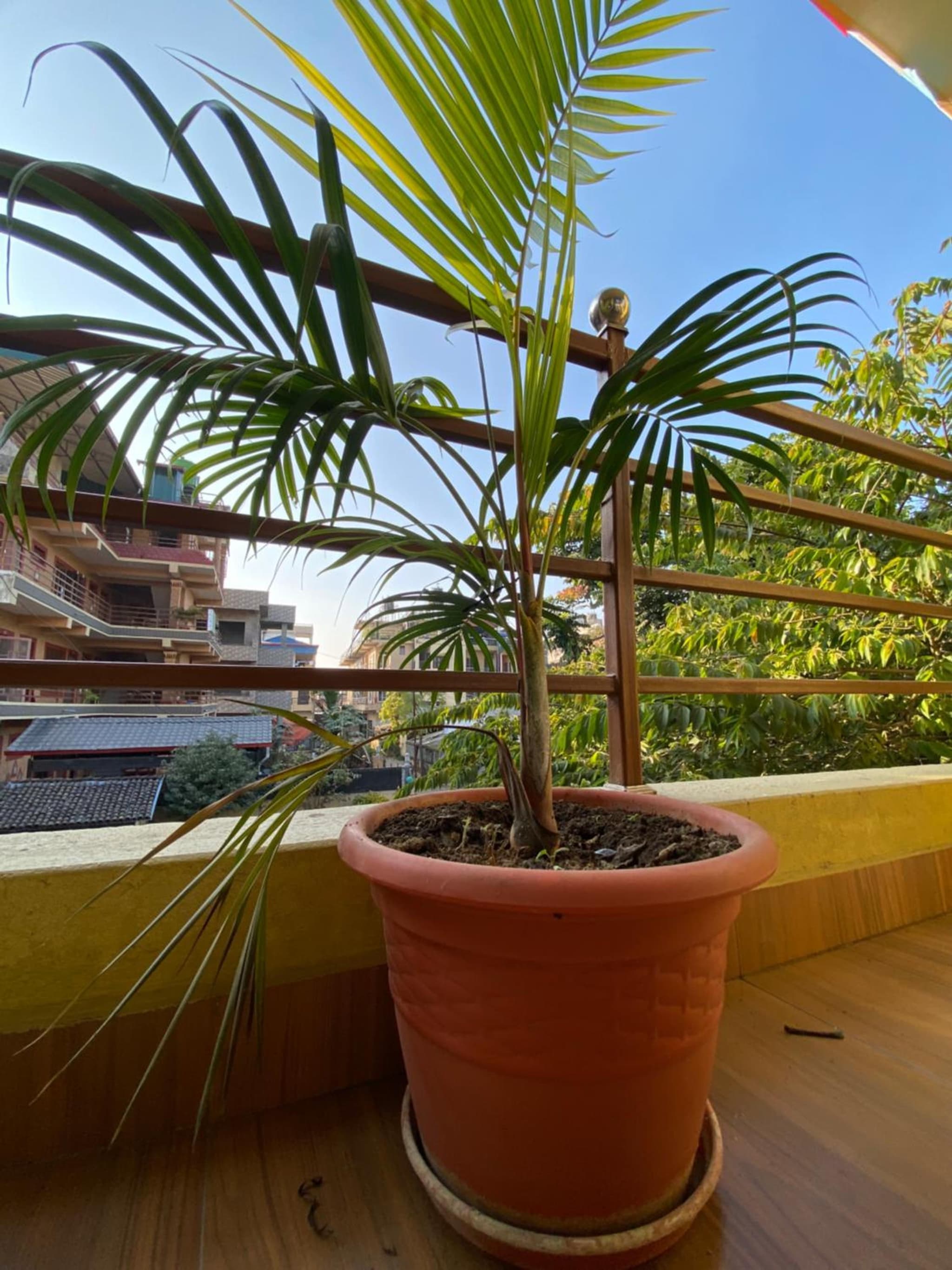 Hotel Greenlight photo 4