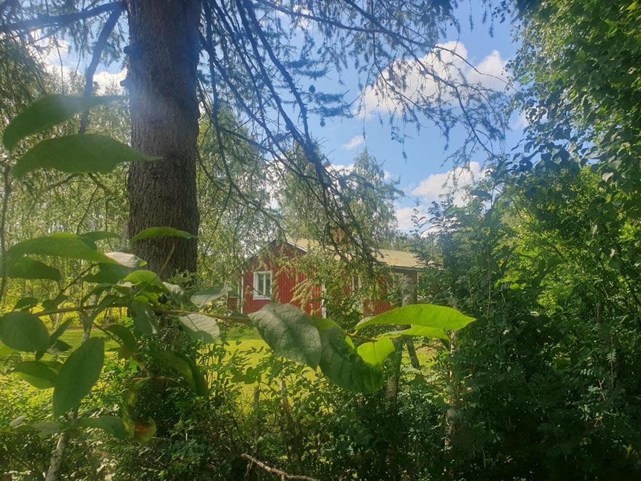 gemütliches Ferienhaus - Höga Kusten Region photo 5