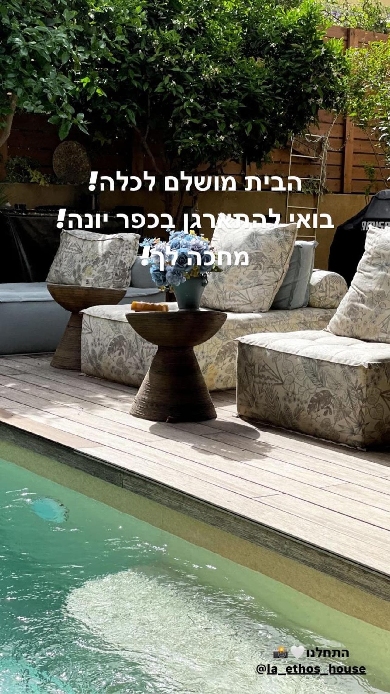 Laethos photo 2