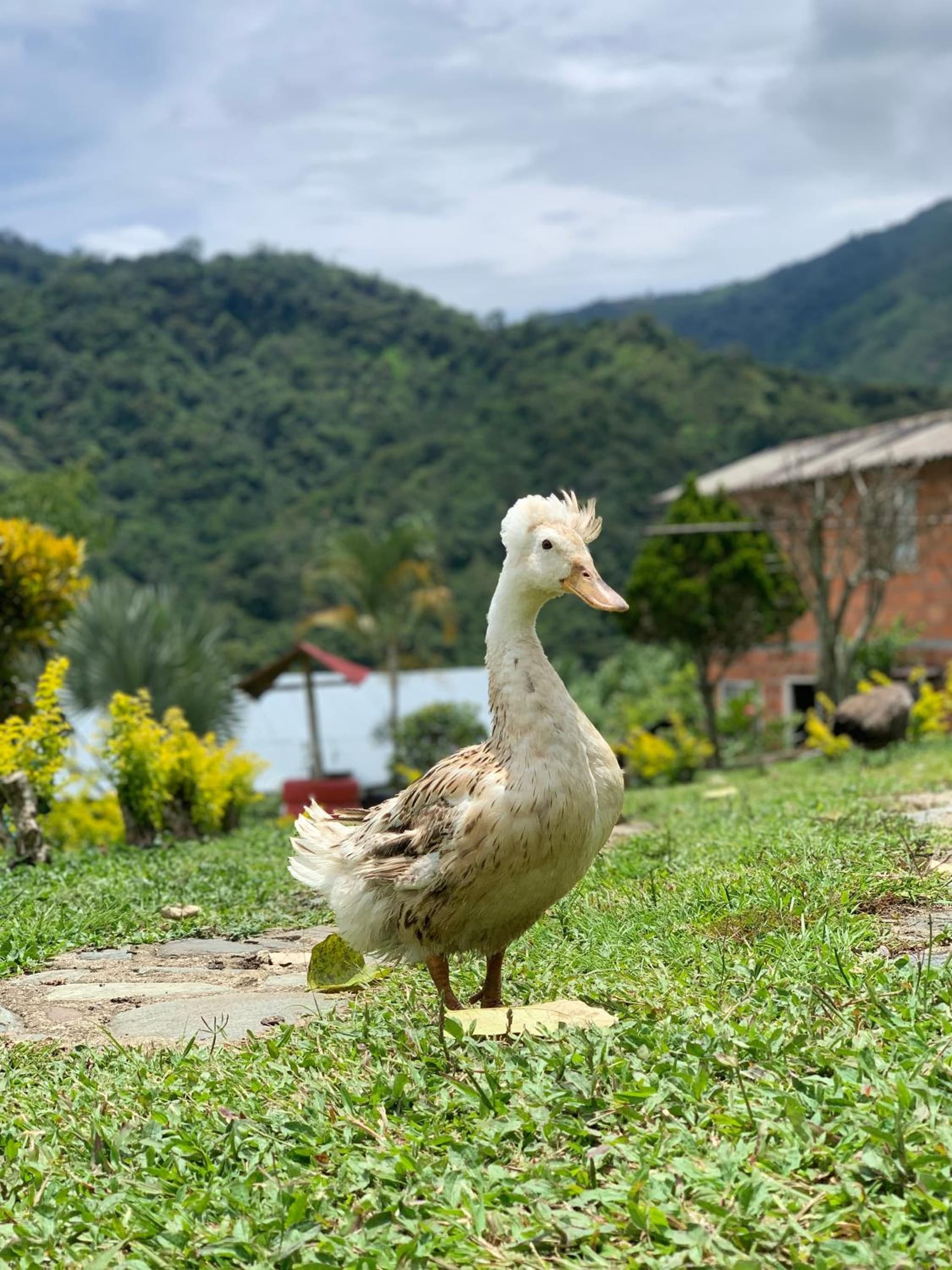 Finca Ecoparaiso photo 4