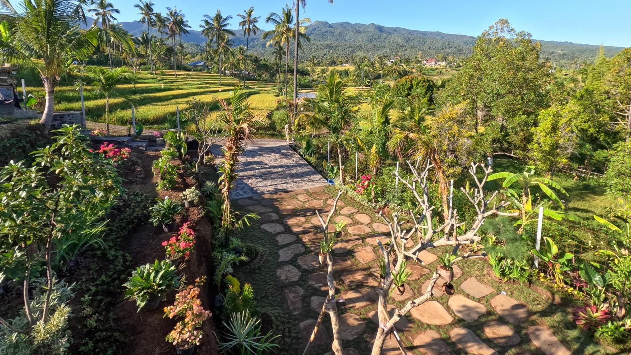 Kubu Sambangan Bali photo 6