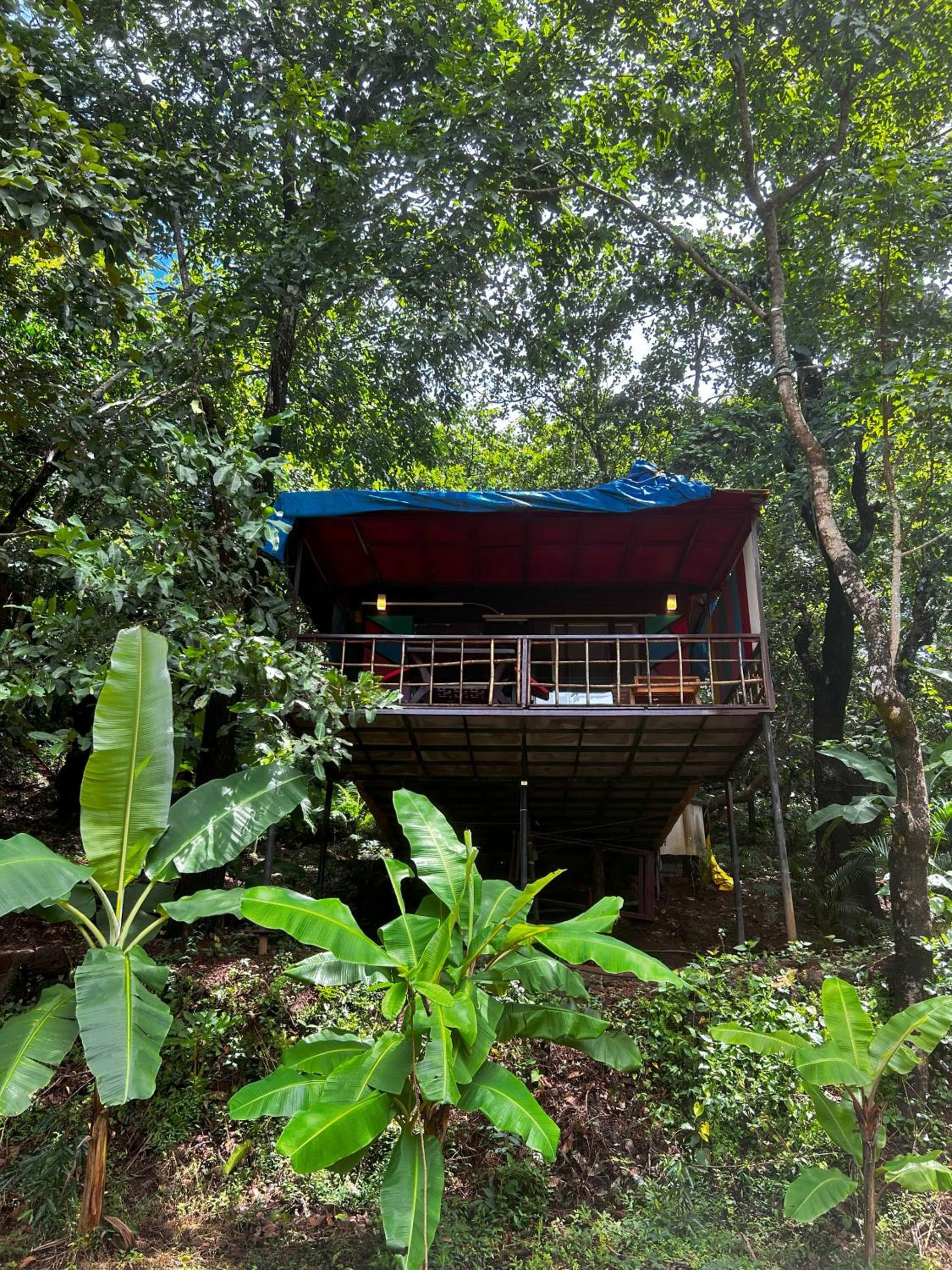 Samyama Retreat photo 7