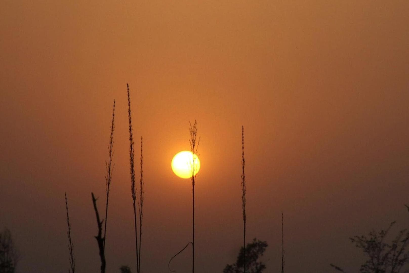 Forest Hideaway Resort Pvt Ltd photo 3