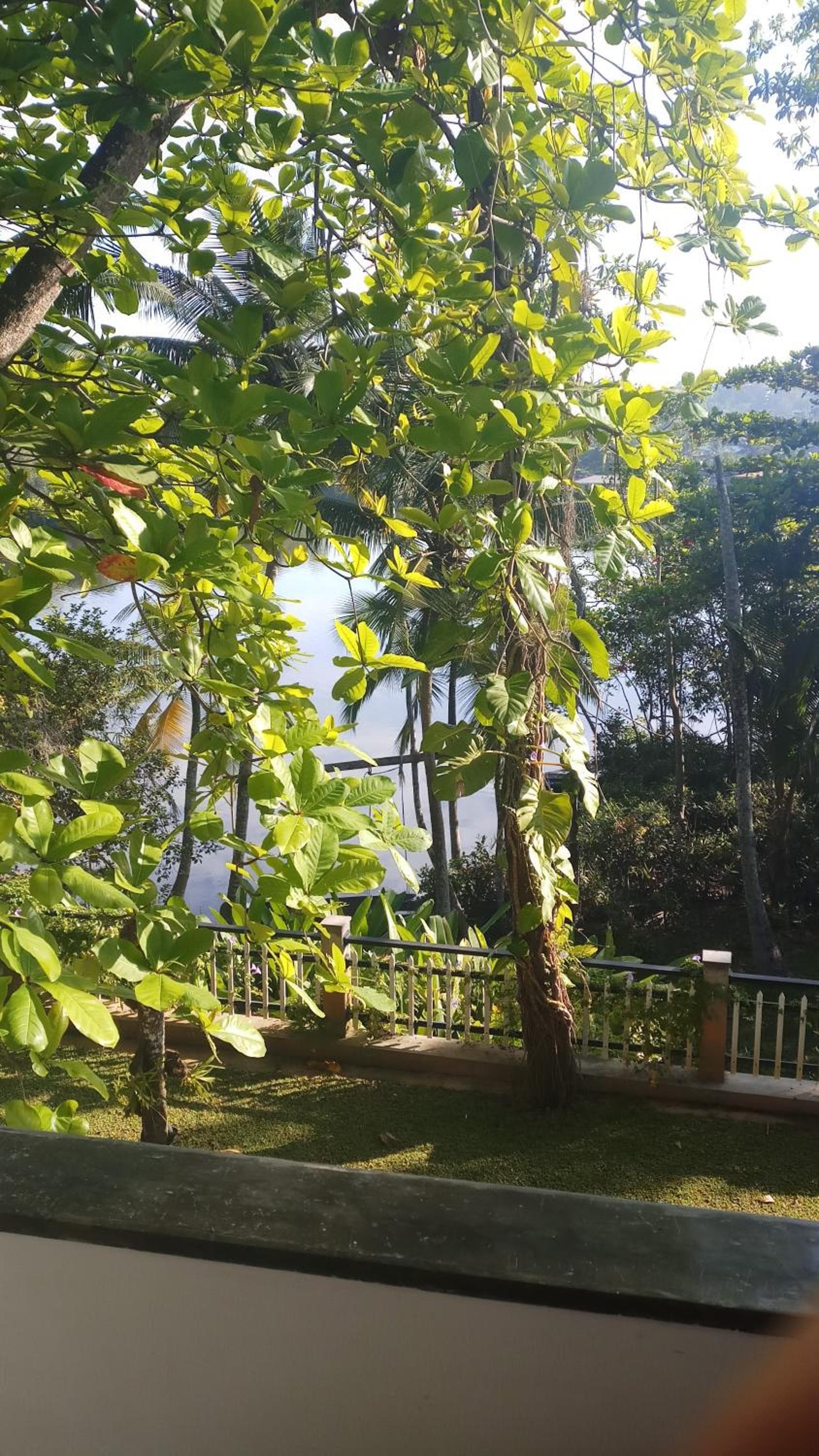 Villa Birdlake photo 9