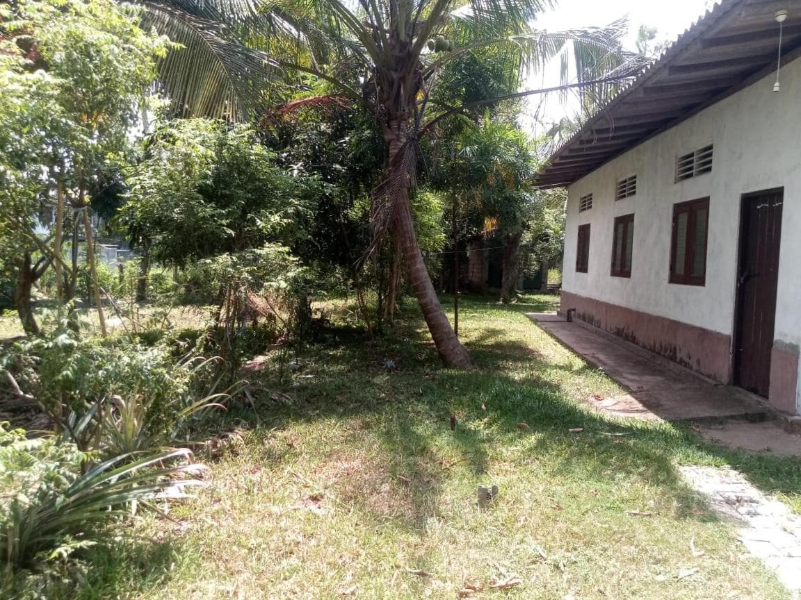 EECS Transit and Budget Homestay photo 5