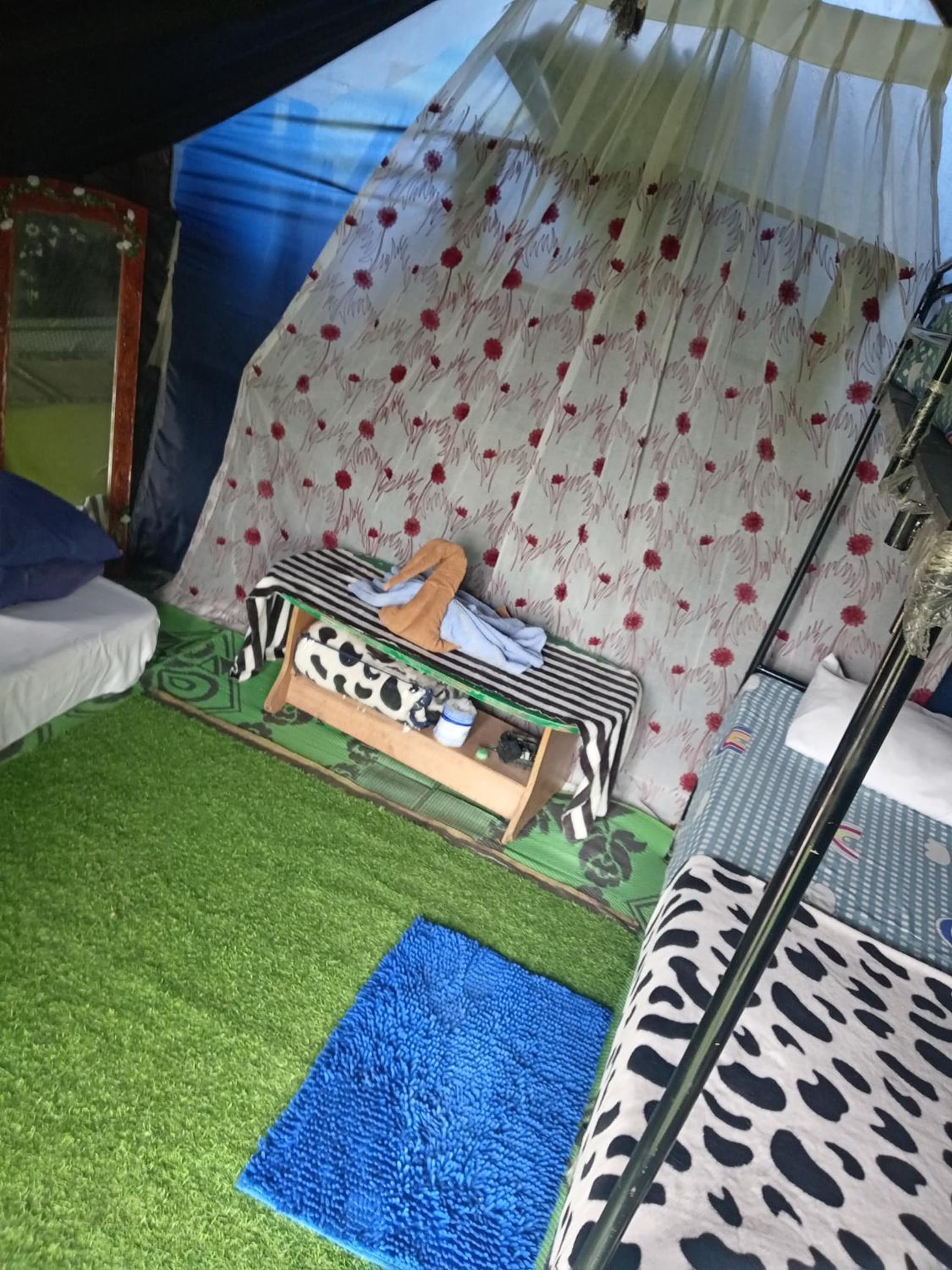 Tunnel Gap Homestay photo 3