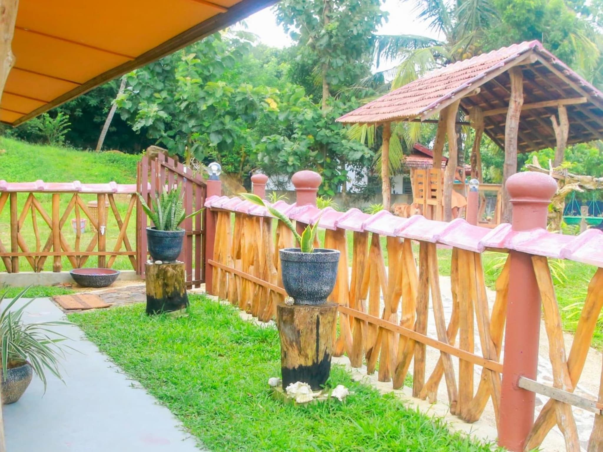 Blue Ocean Tree House Hiriketiya photo 2