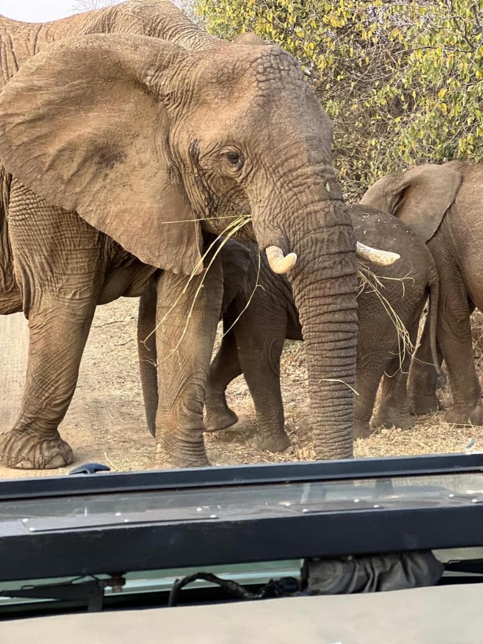 Umoya Safari Lodge photo 6