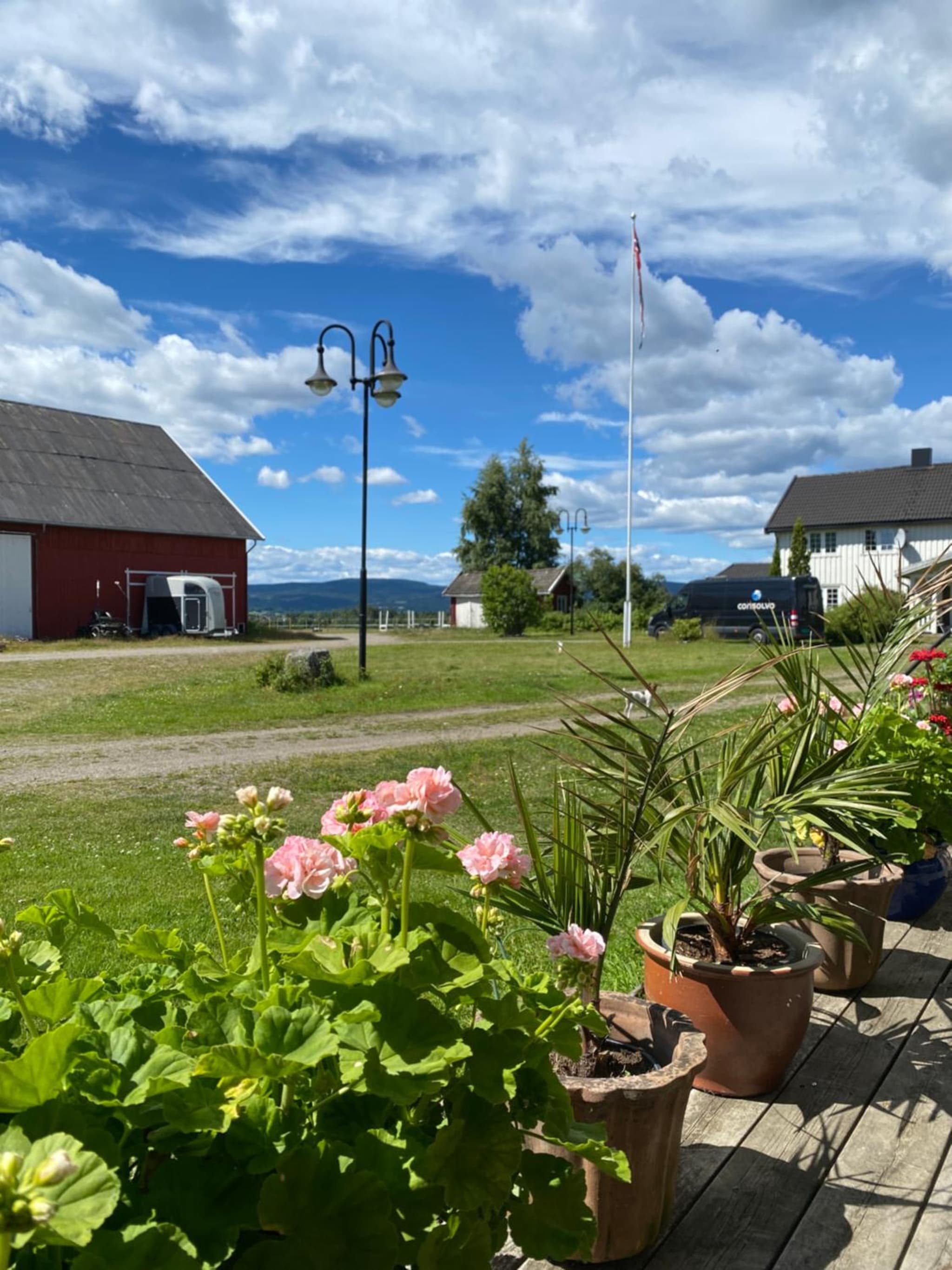 Sundby Fjordhestgård photo 4
