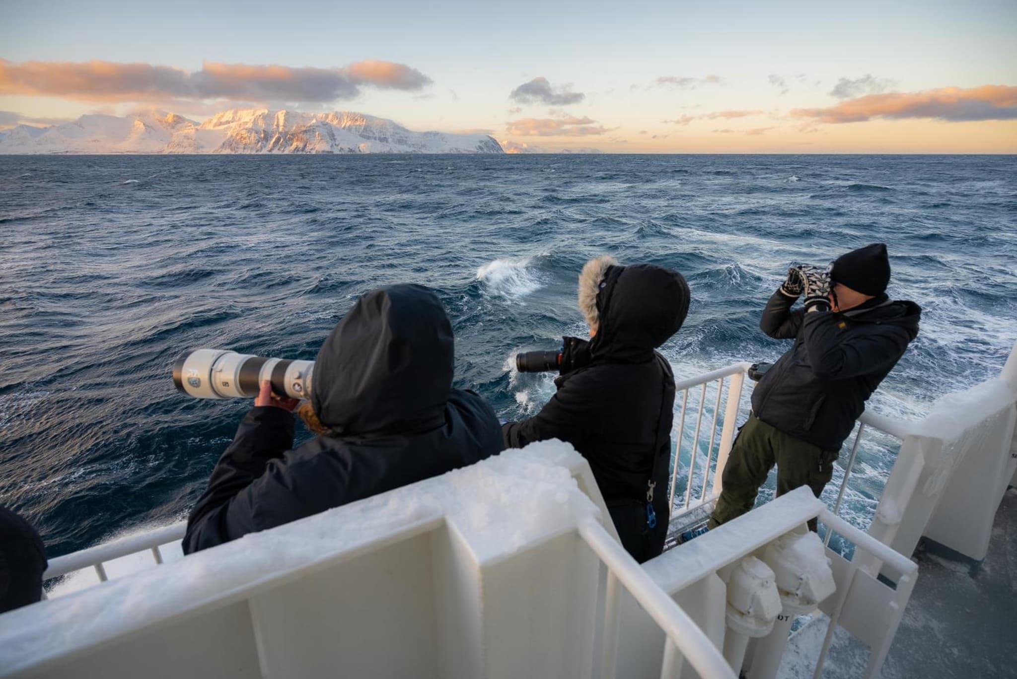 24hrs Northern Lights & Whale Watching Cruise photo 6