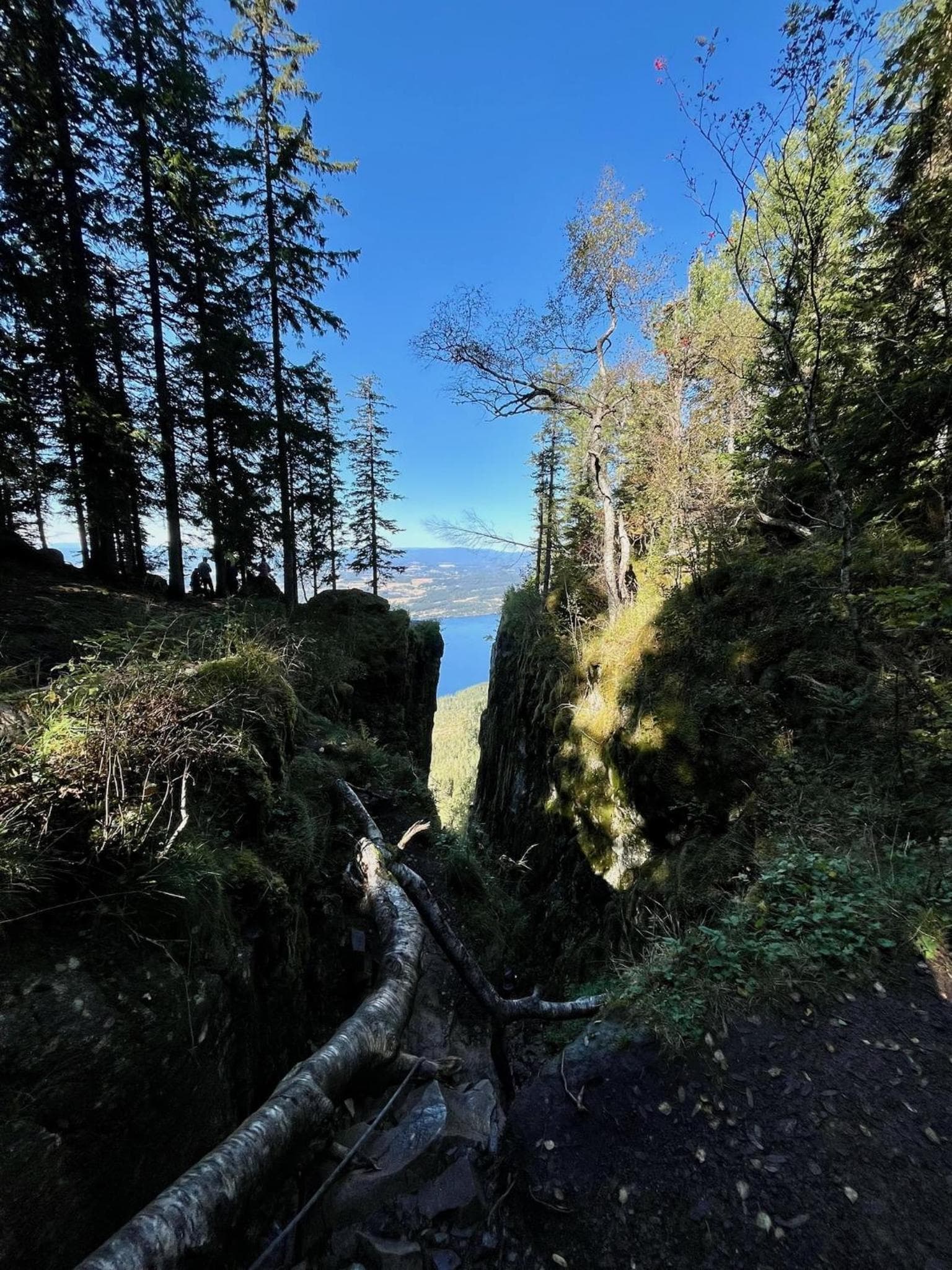 Tyristua photo 5