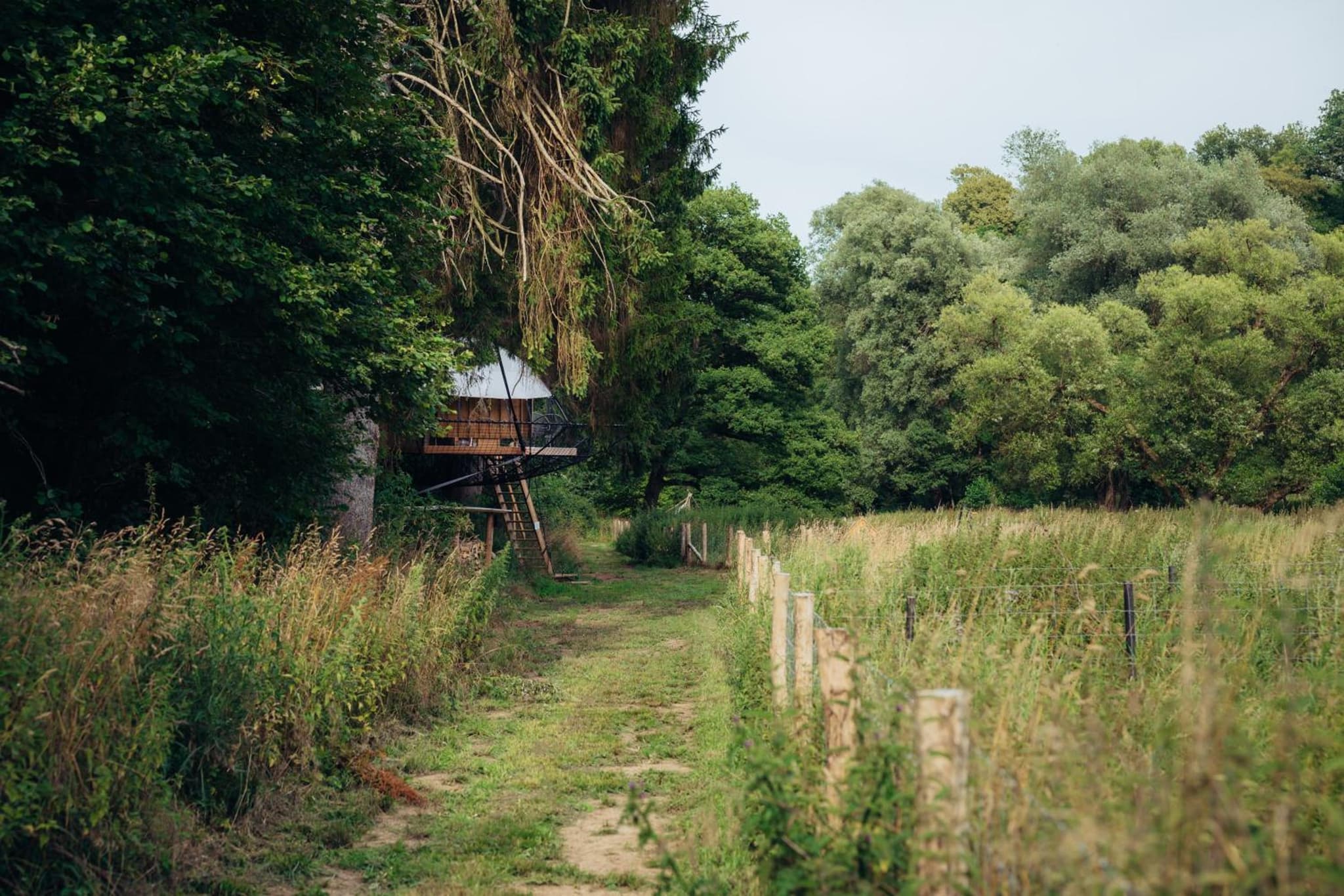 Les Nids du Château de Pailhe photo 6
