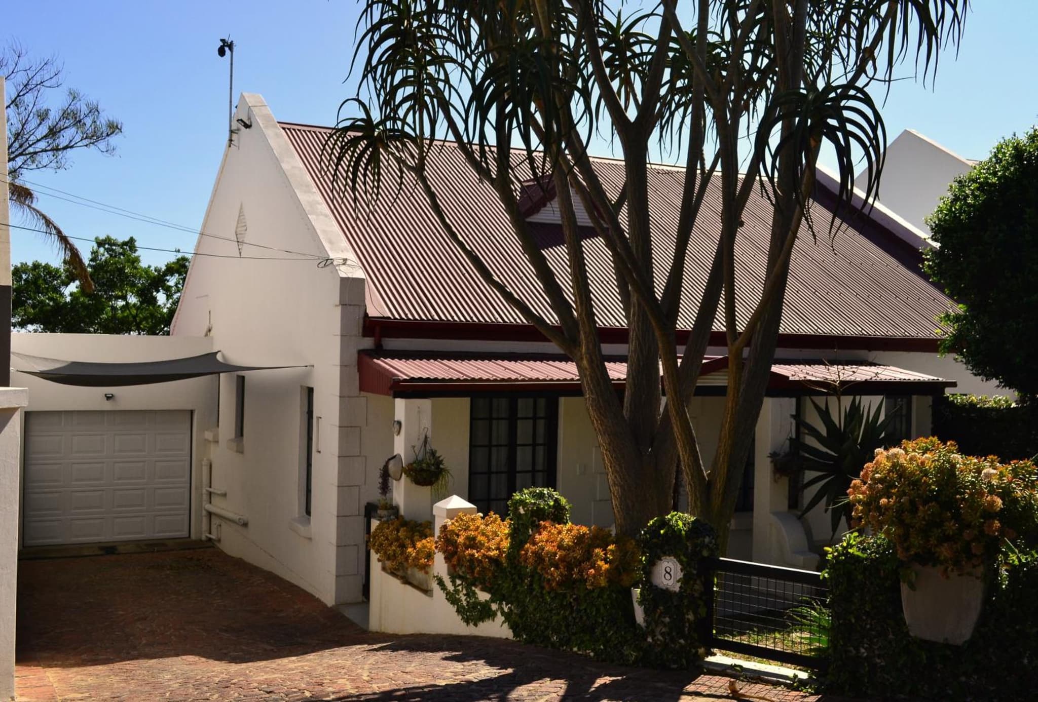 Zebra Cottage photo 3