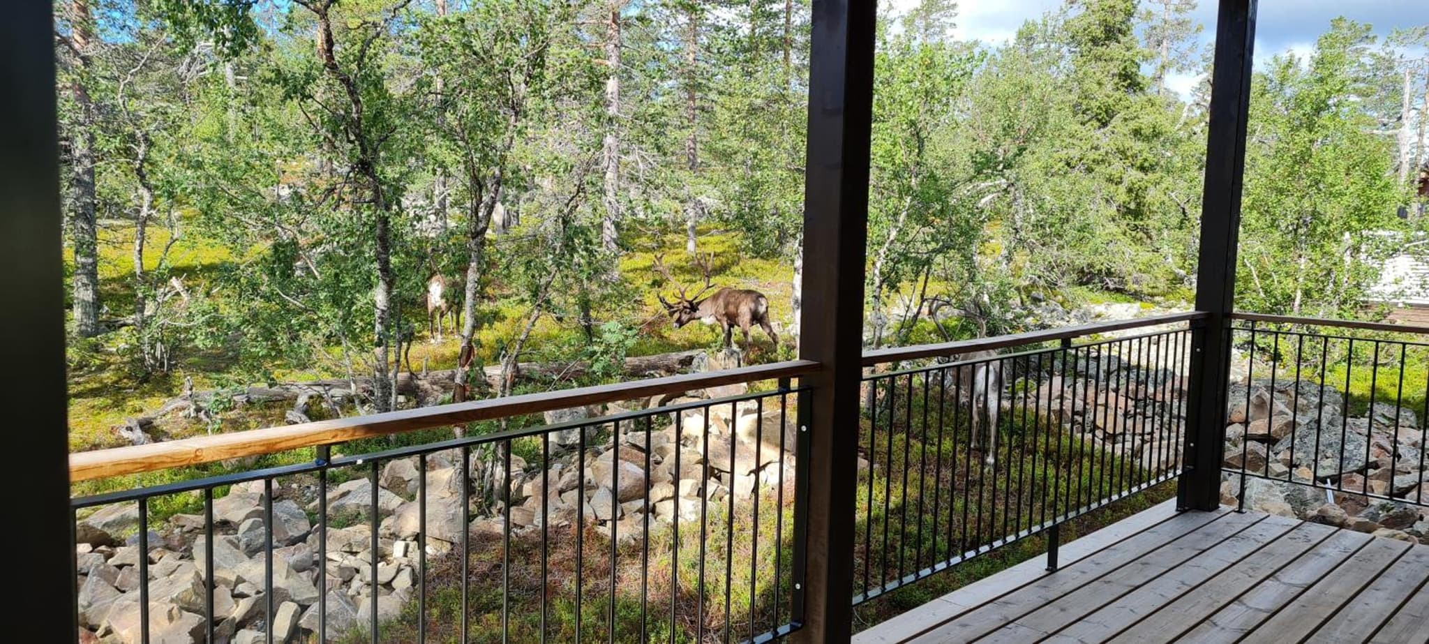 Villa Hillevi photo 9
