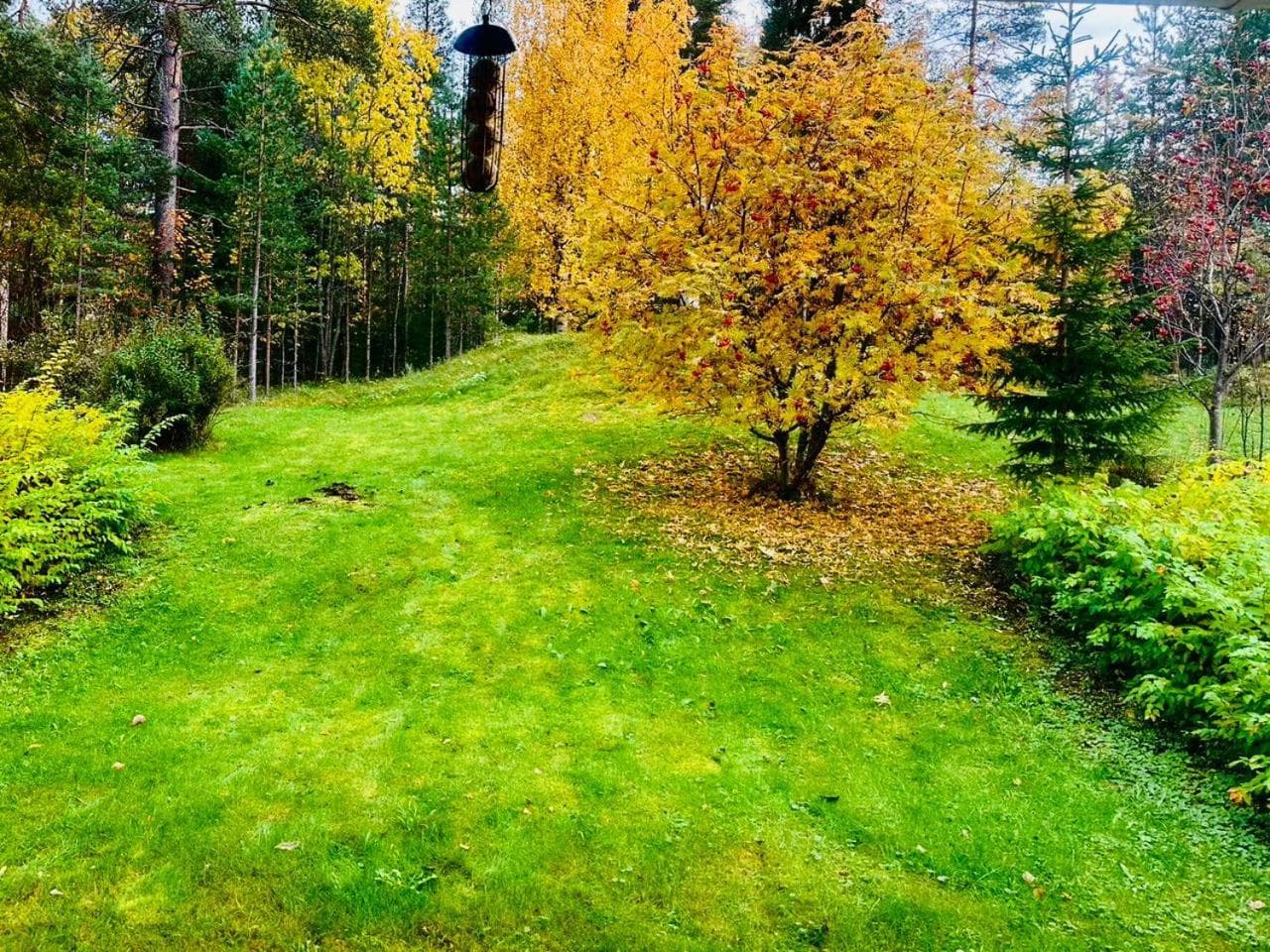 Holiday Home, Entire home photo 9
