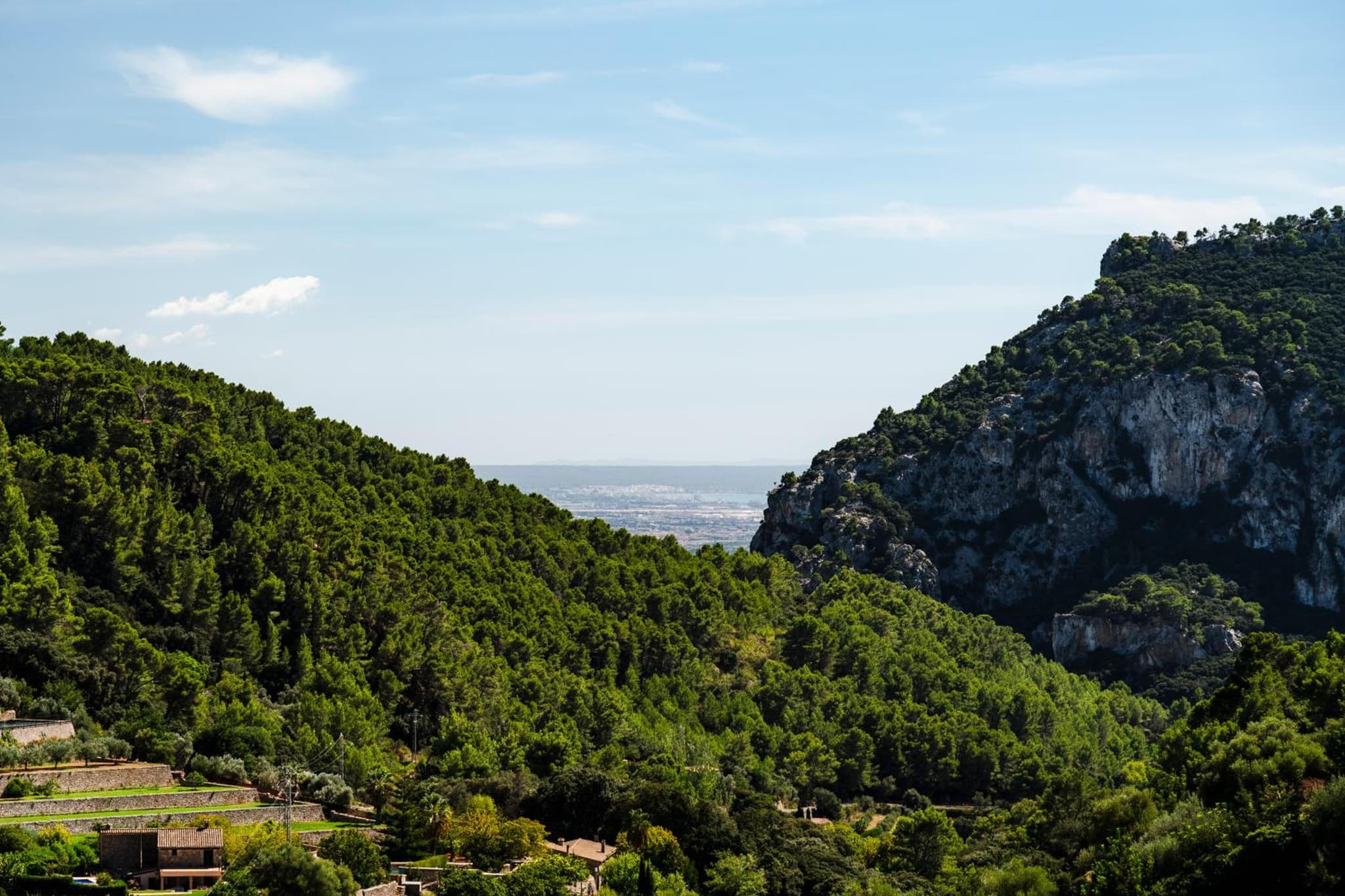 Es Petit de Valldemossa photo 5