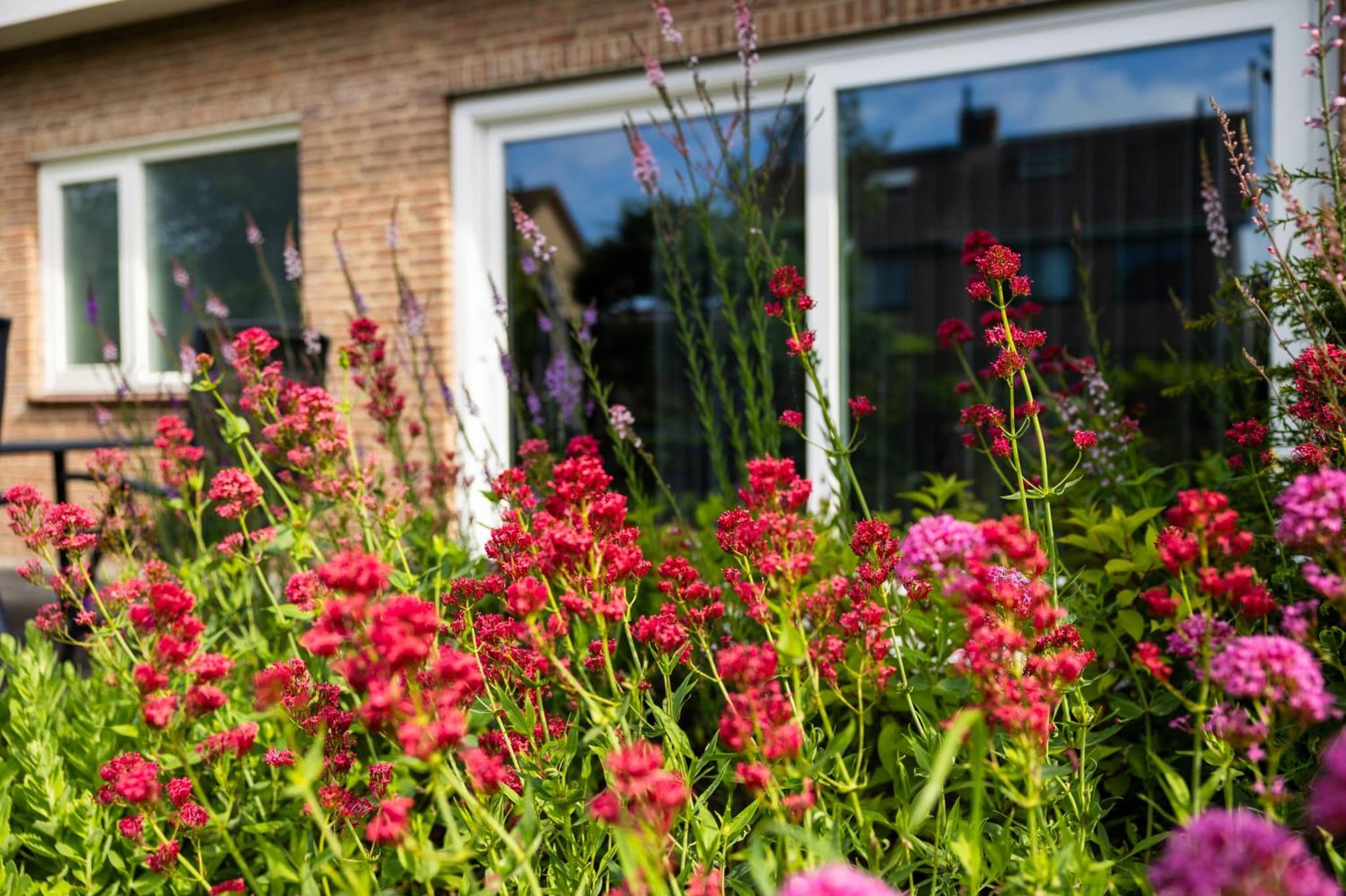B&B om de hoek photo 2
