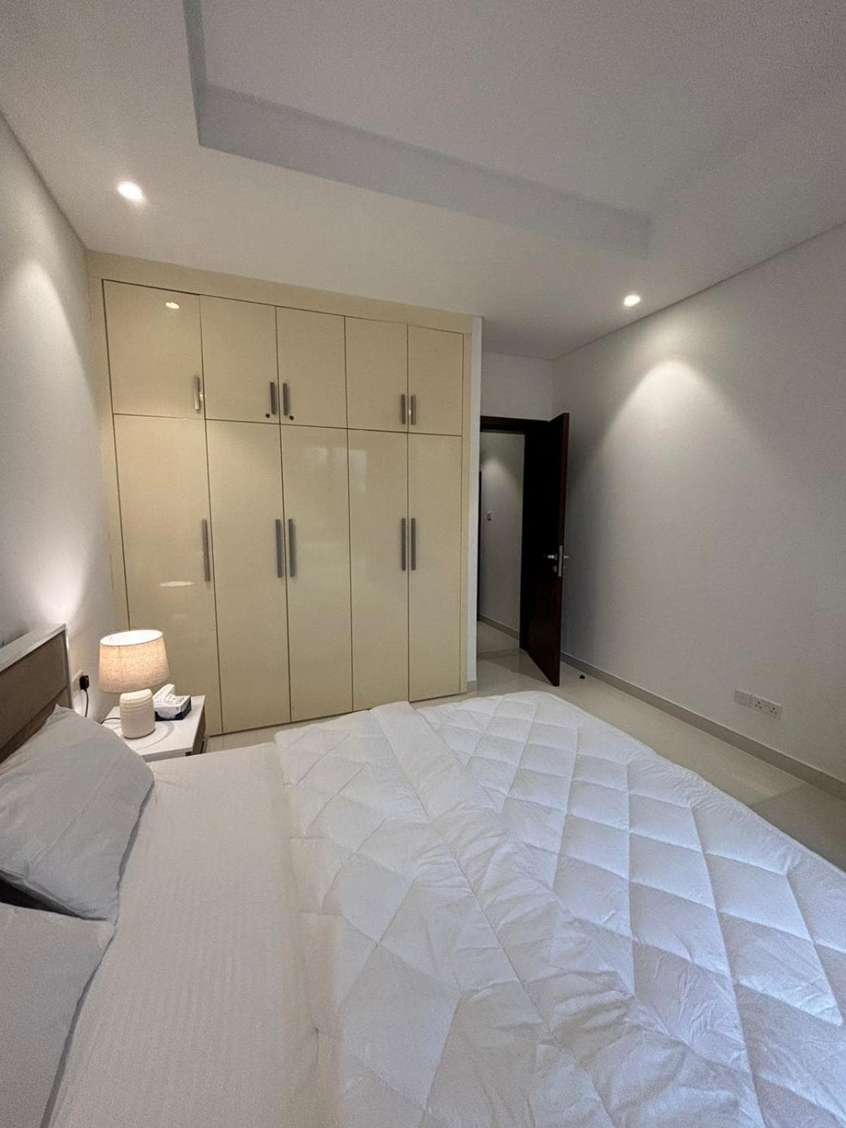 Hawana VIP Appartment photo 4