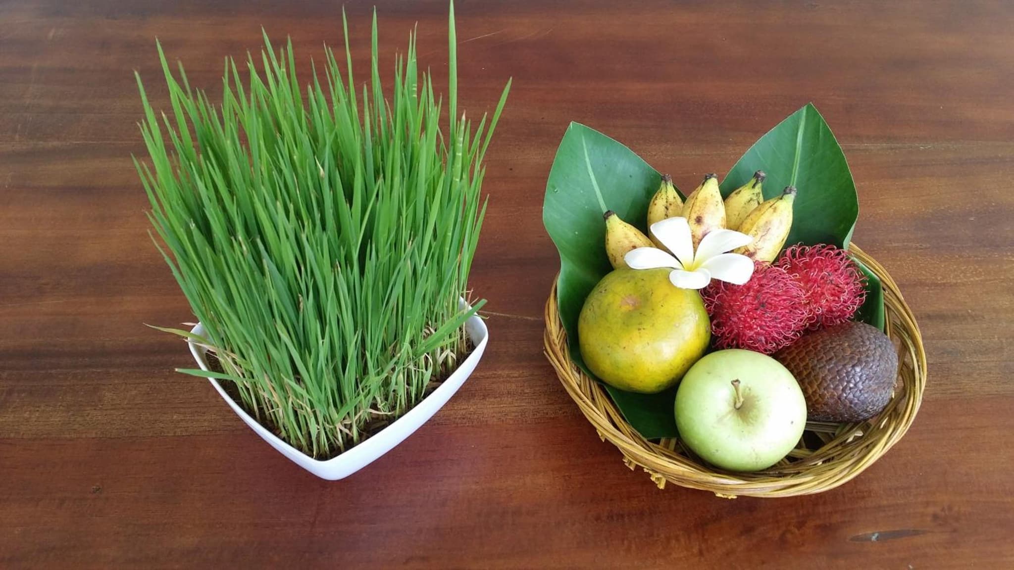 Palm Garden Bali photo 4