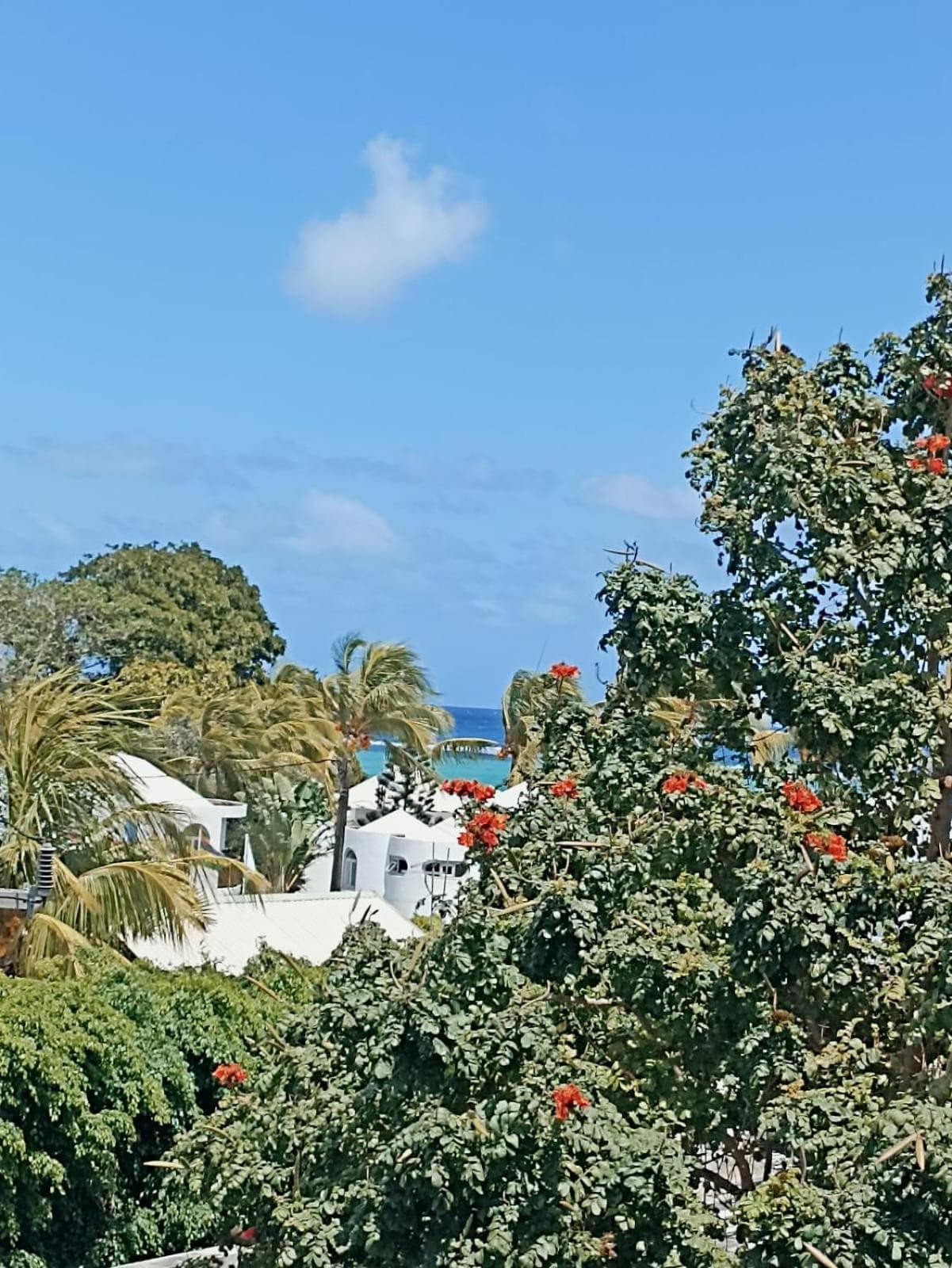 Ibiza Experience with Sea View photo 7