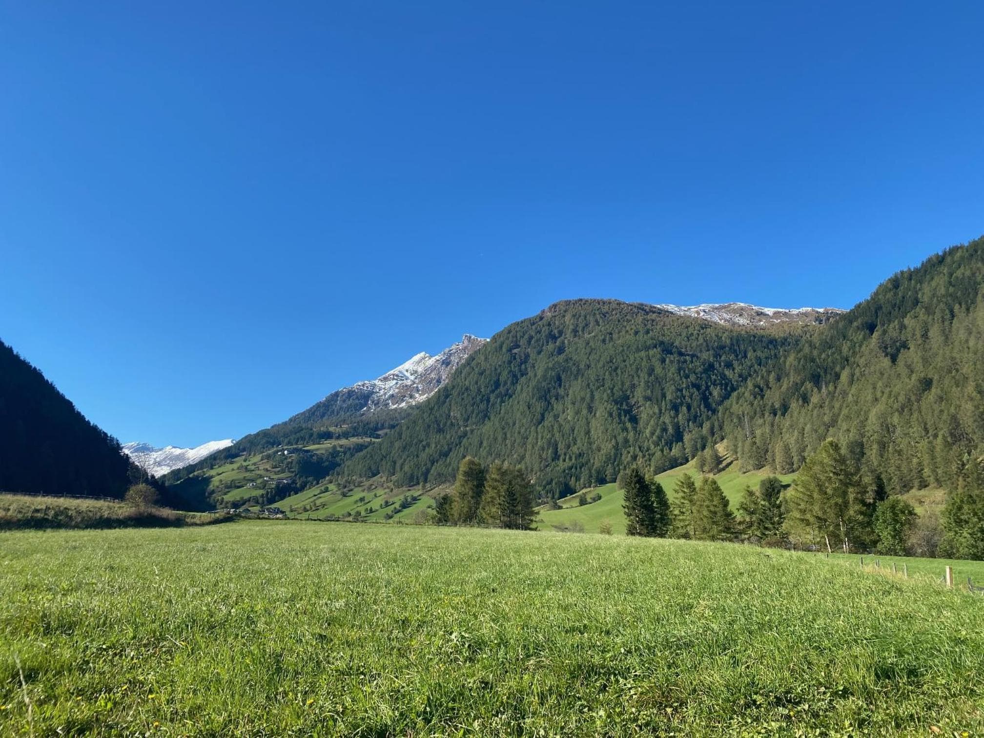 Haus Wolfsbach photo 2