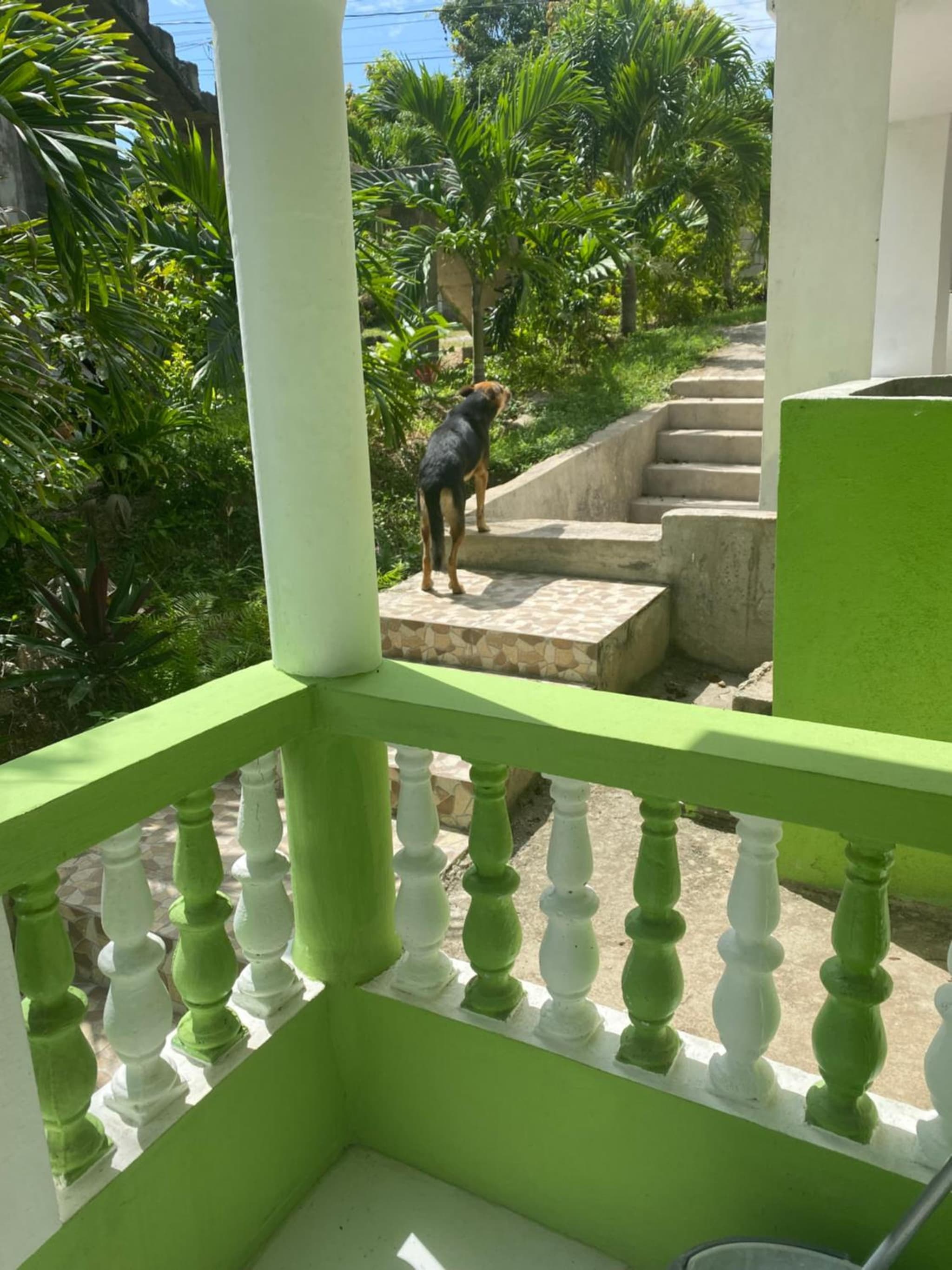 June’s comfort paradise photo 9
