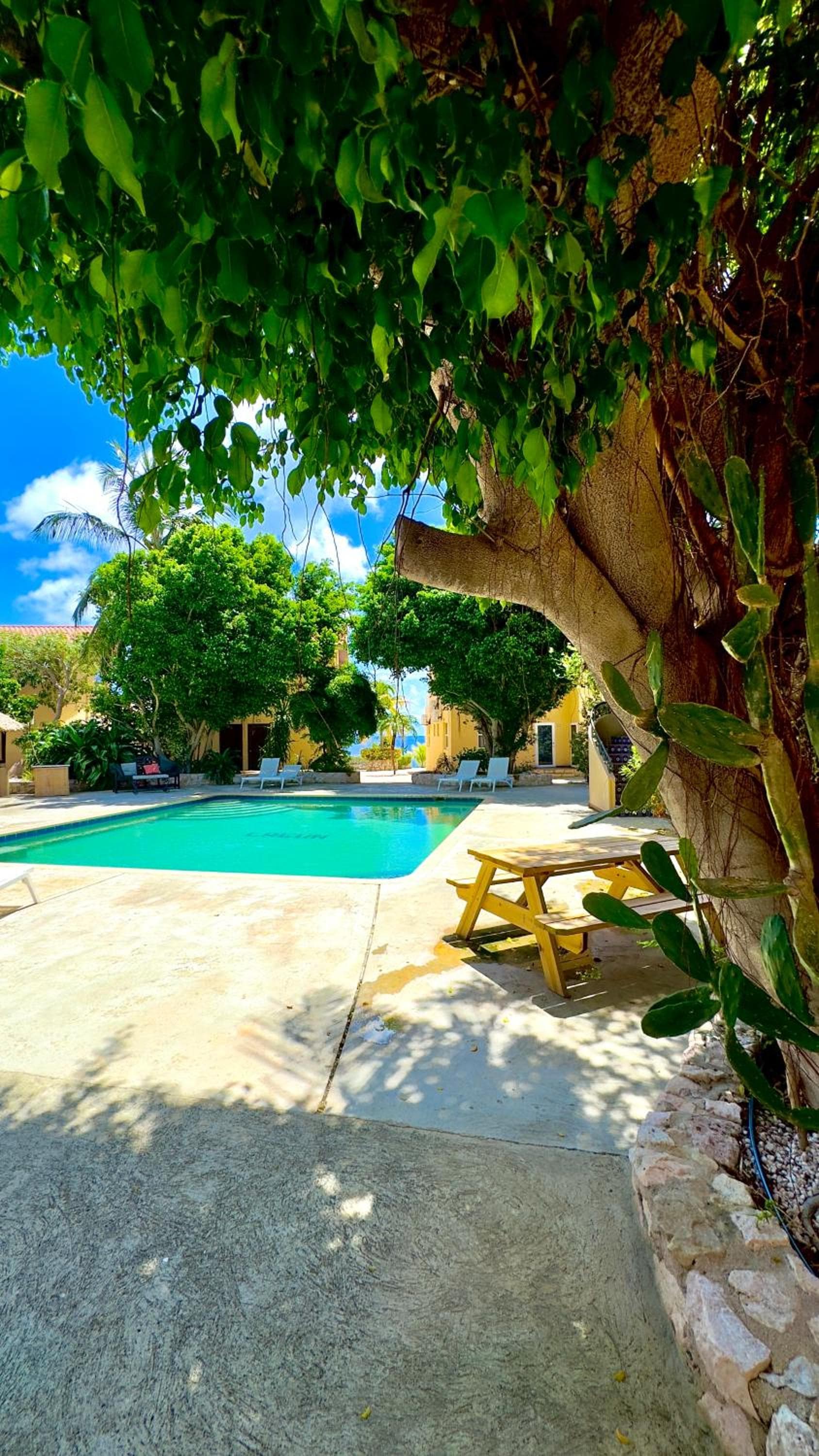 Appartement 8 & 9- Lagun blou resort - Curaçao photo 5