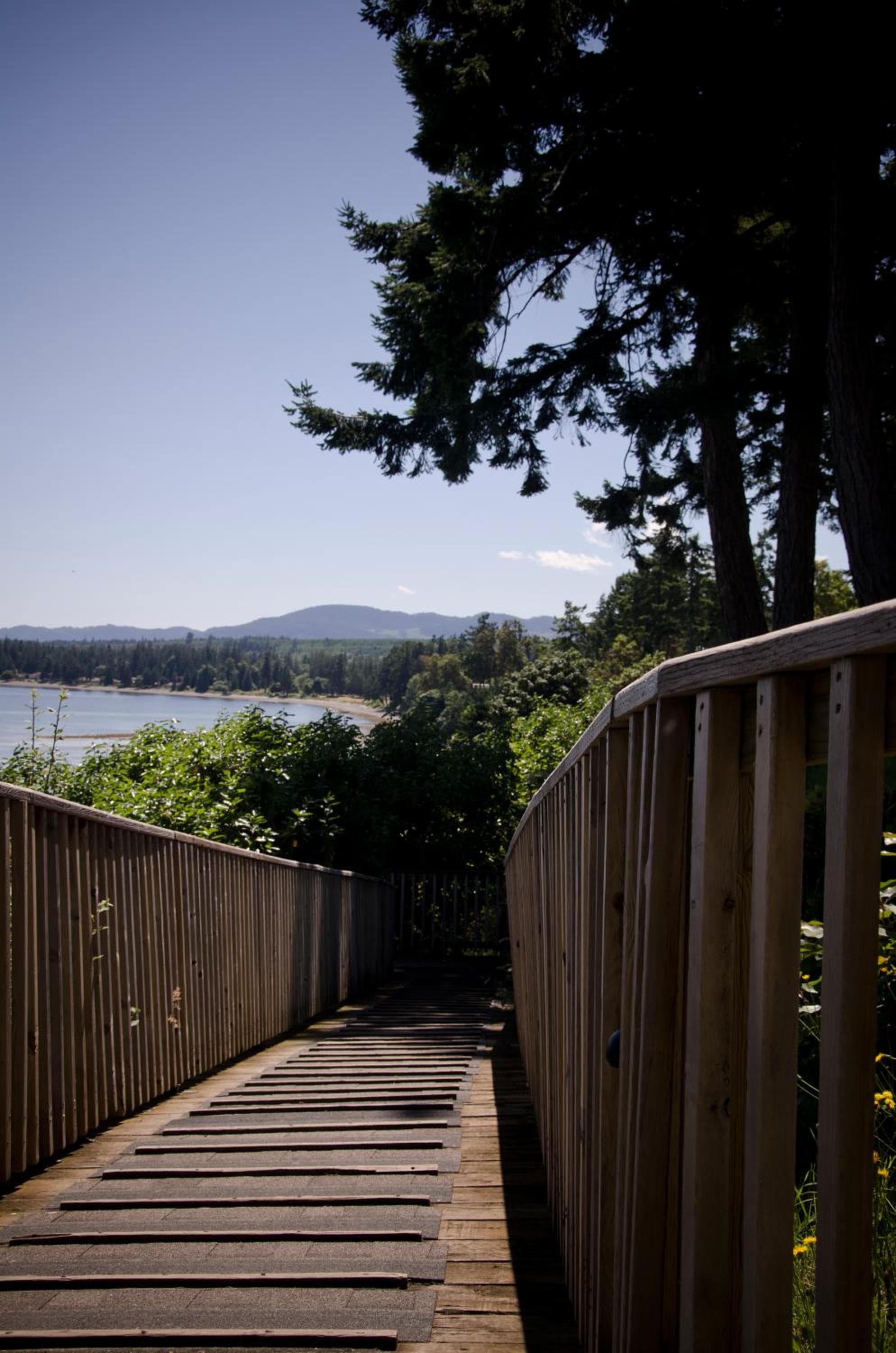 Ocean Trails Resort photo 4
