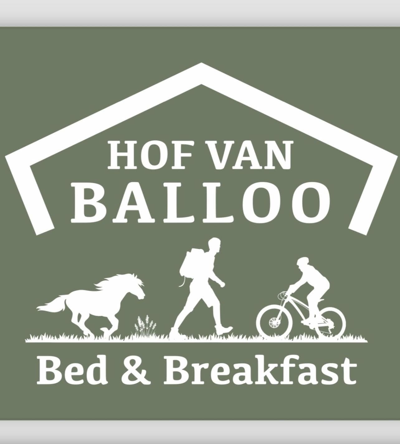 Hof van Balloo photo 9