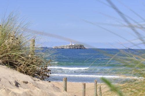 Hotel Bemon Playa photo 6