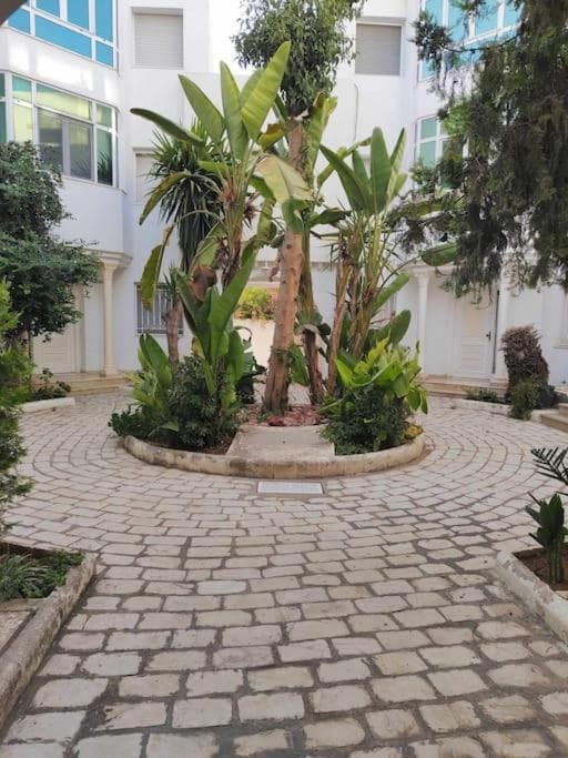 la Soukra photo 9
