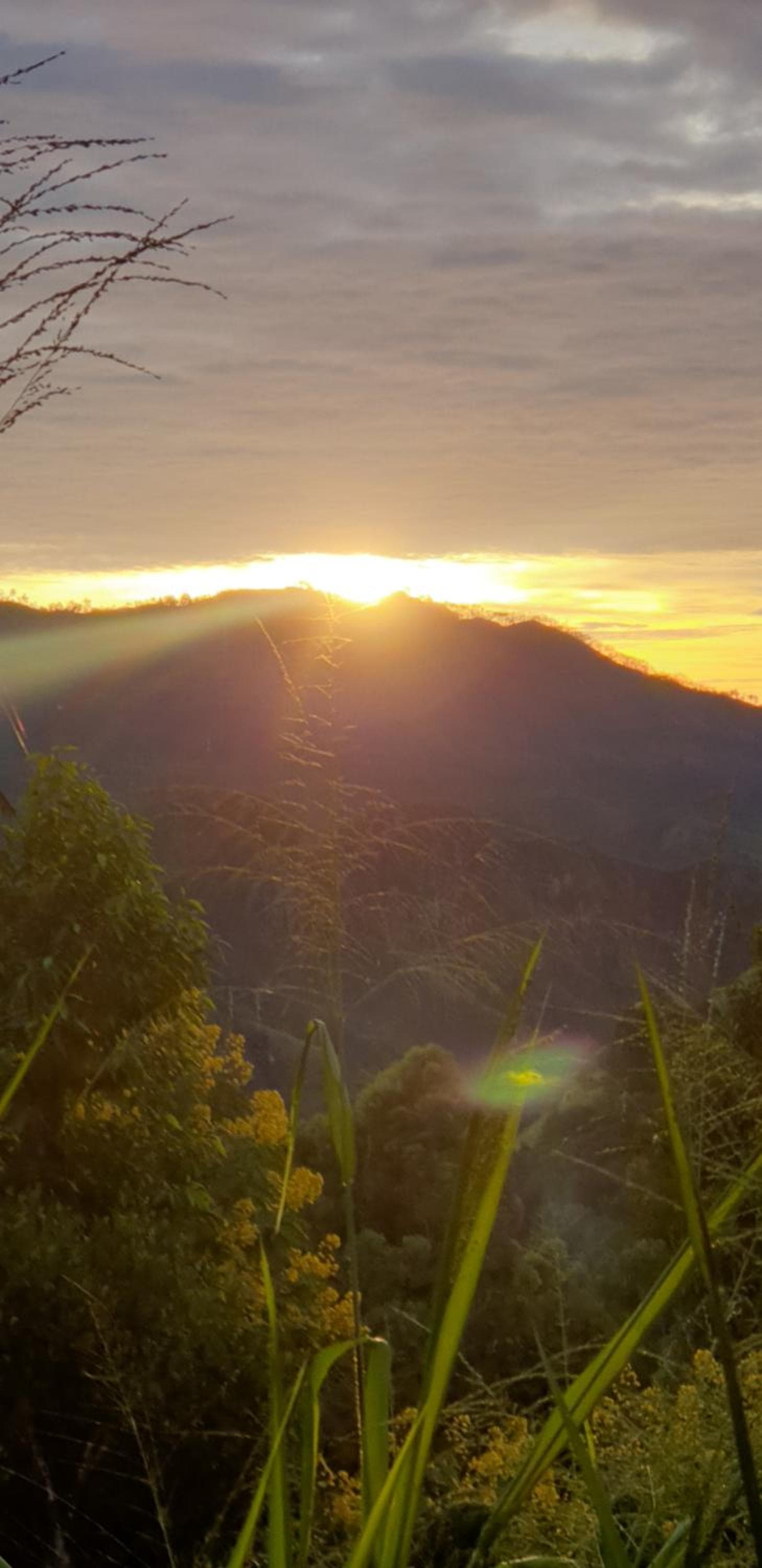Himansa Homestay photo 3