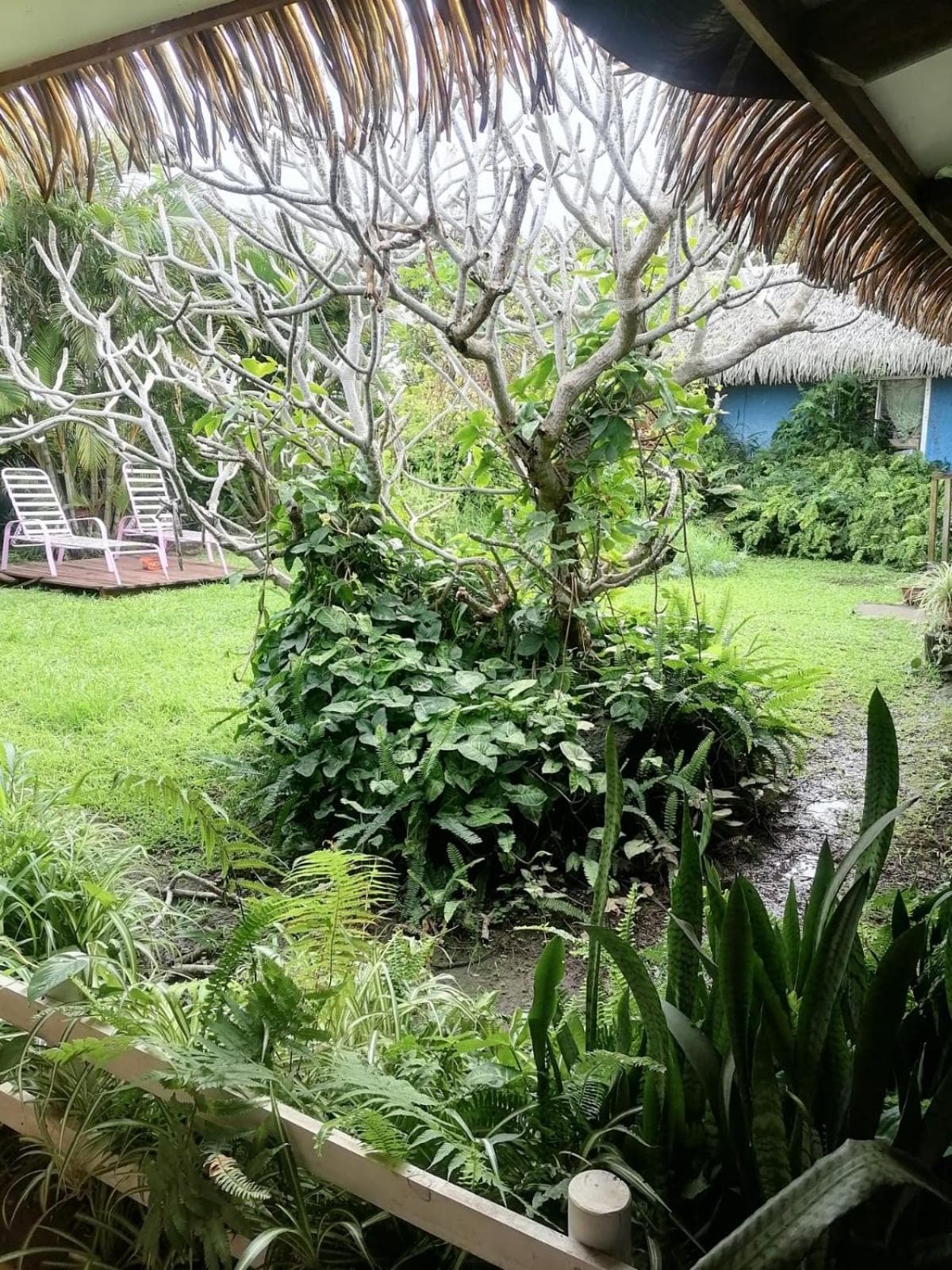 Hare Henua B&B photo 7