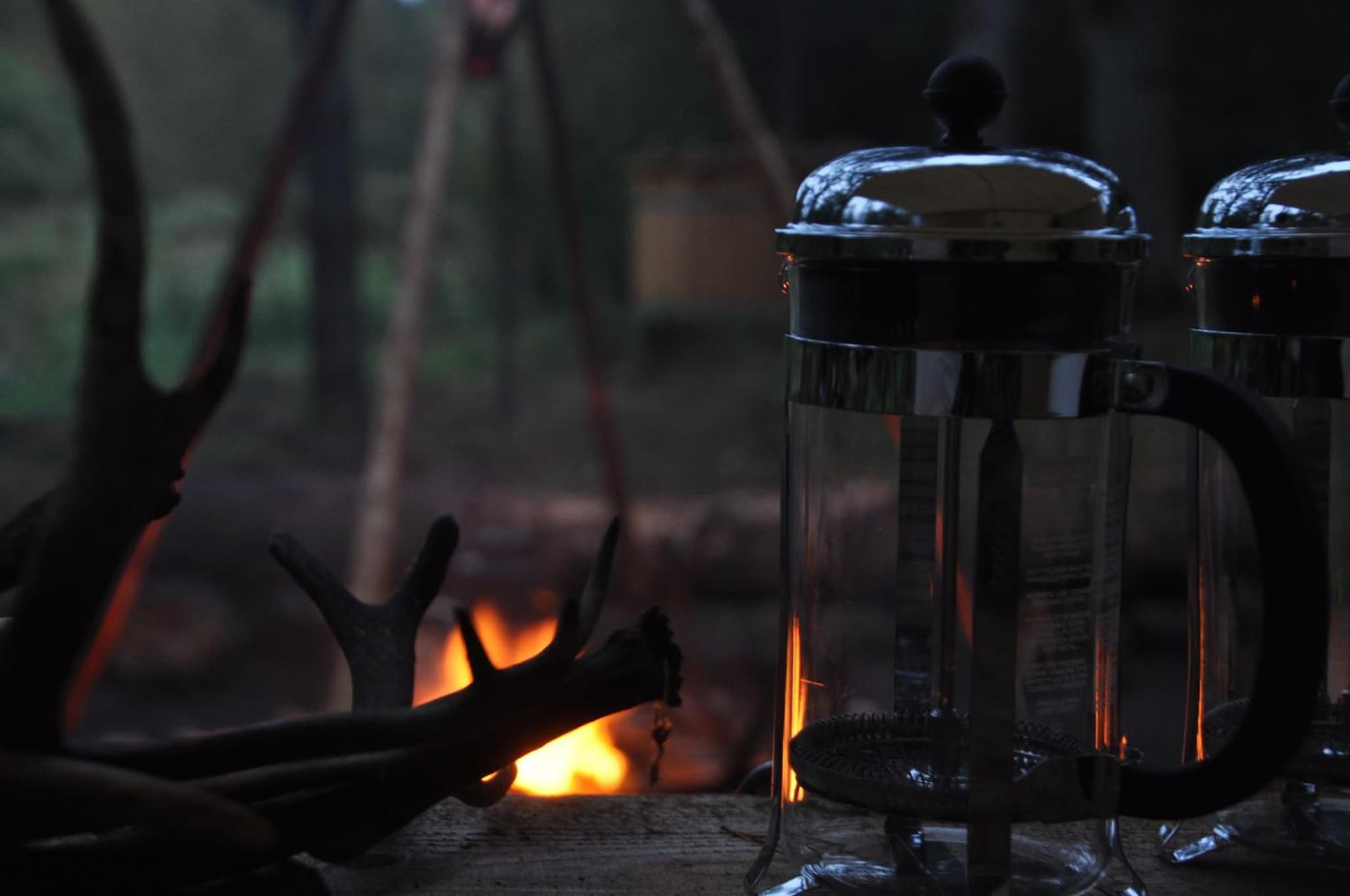 Log-House Wildernest photo 2