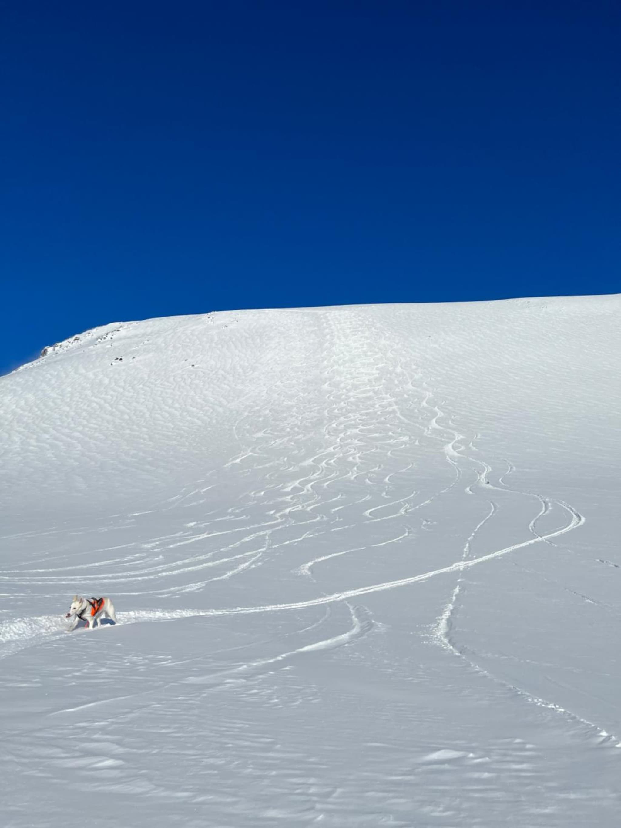 Leilighet i vakre omgivelser photo 2