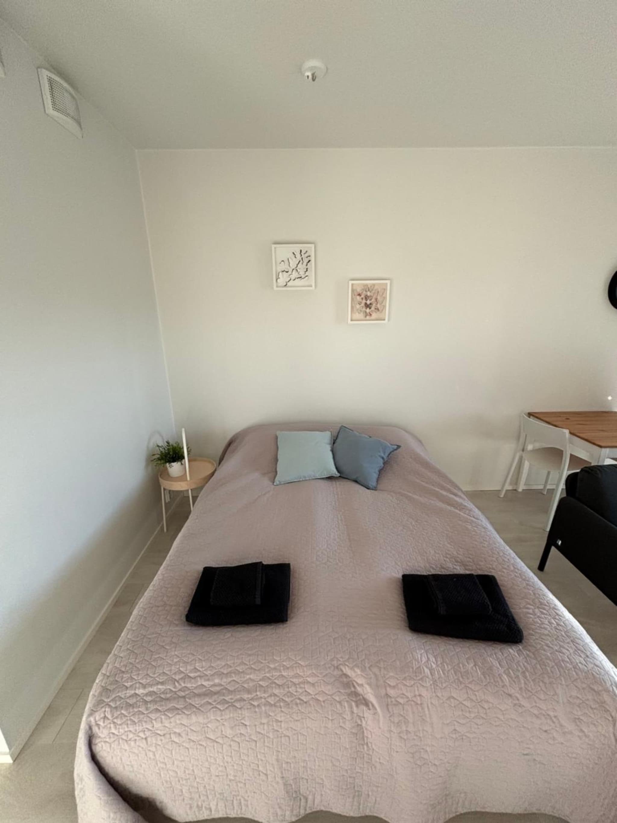 Vesirattaantie Apartment photo 3